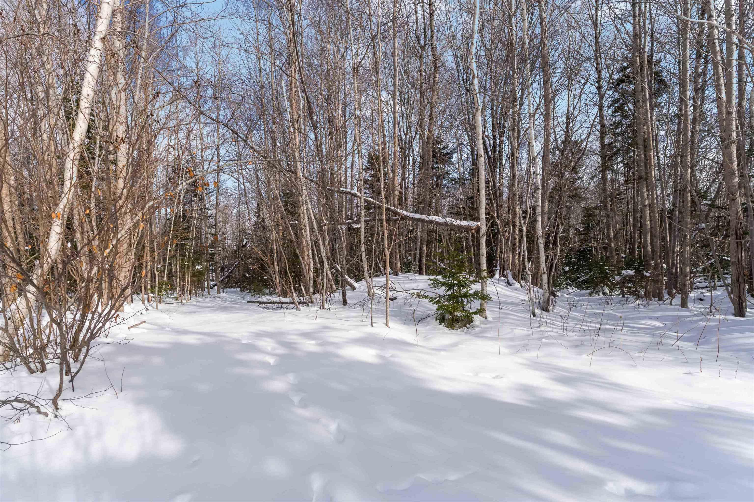 $644,900.00: 66 Ben Jackson Road, Hants Border