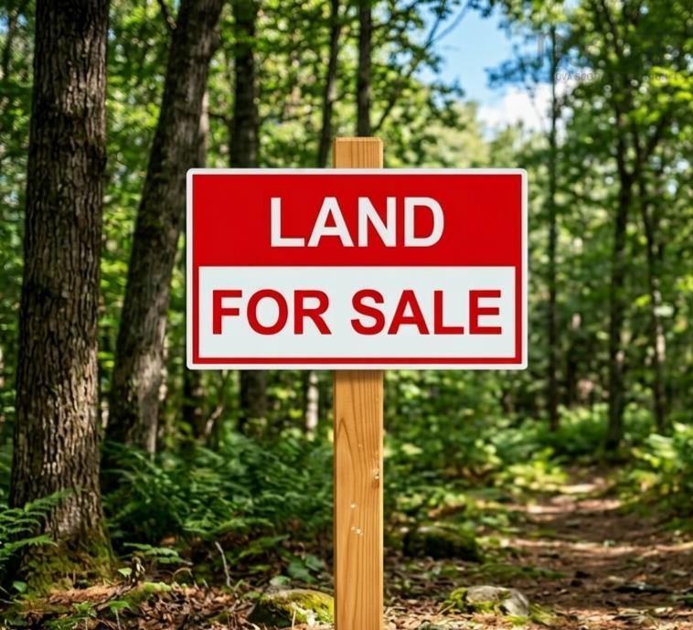 $20,000.00: Lot Highway 10, Alpena