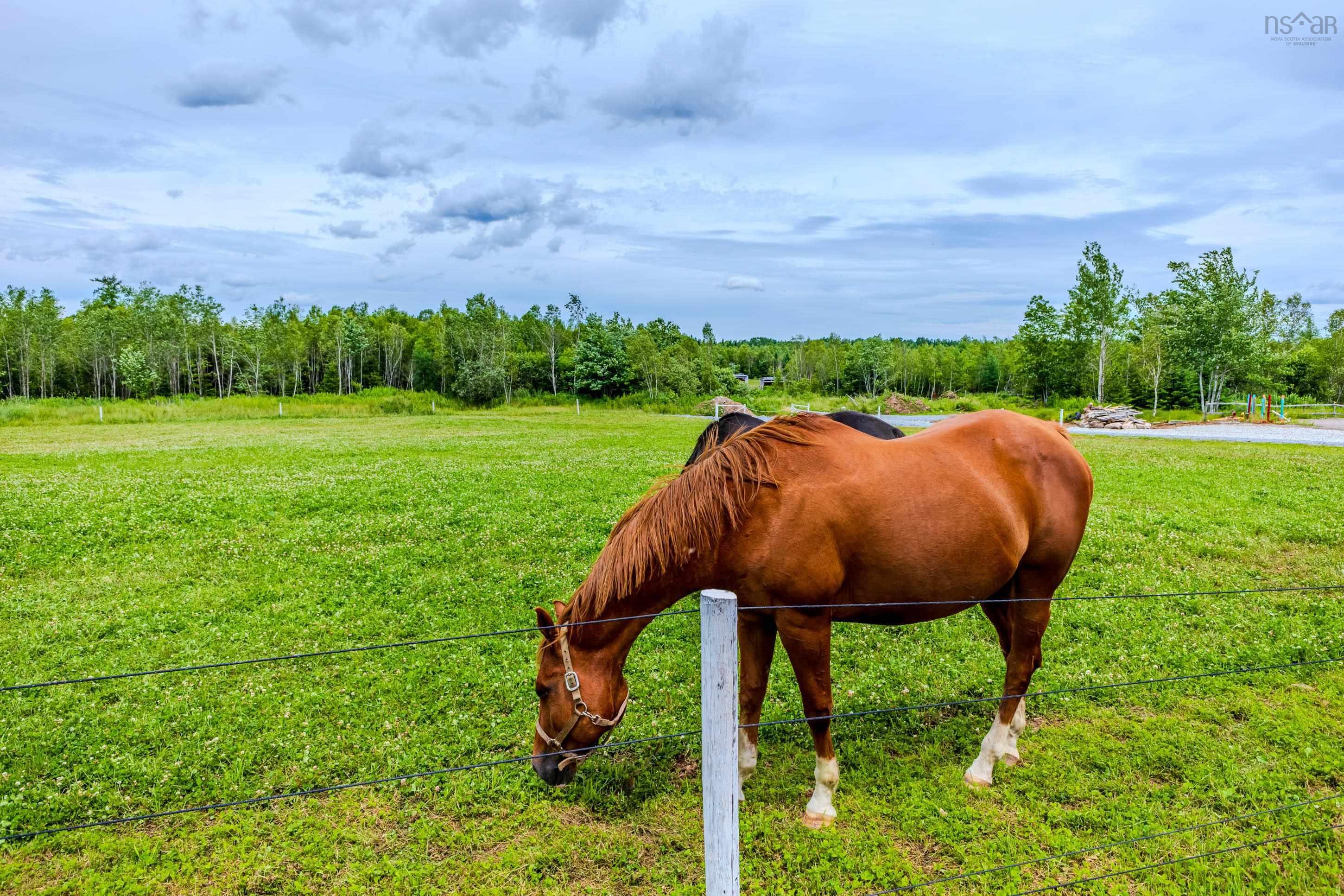 $699,999.00: 1554 PLEASANT VALLEY Road, Pleasant Valley