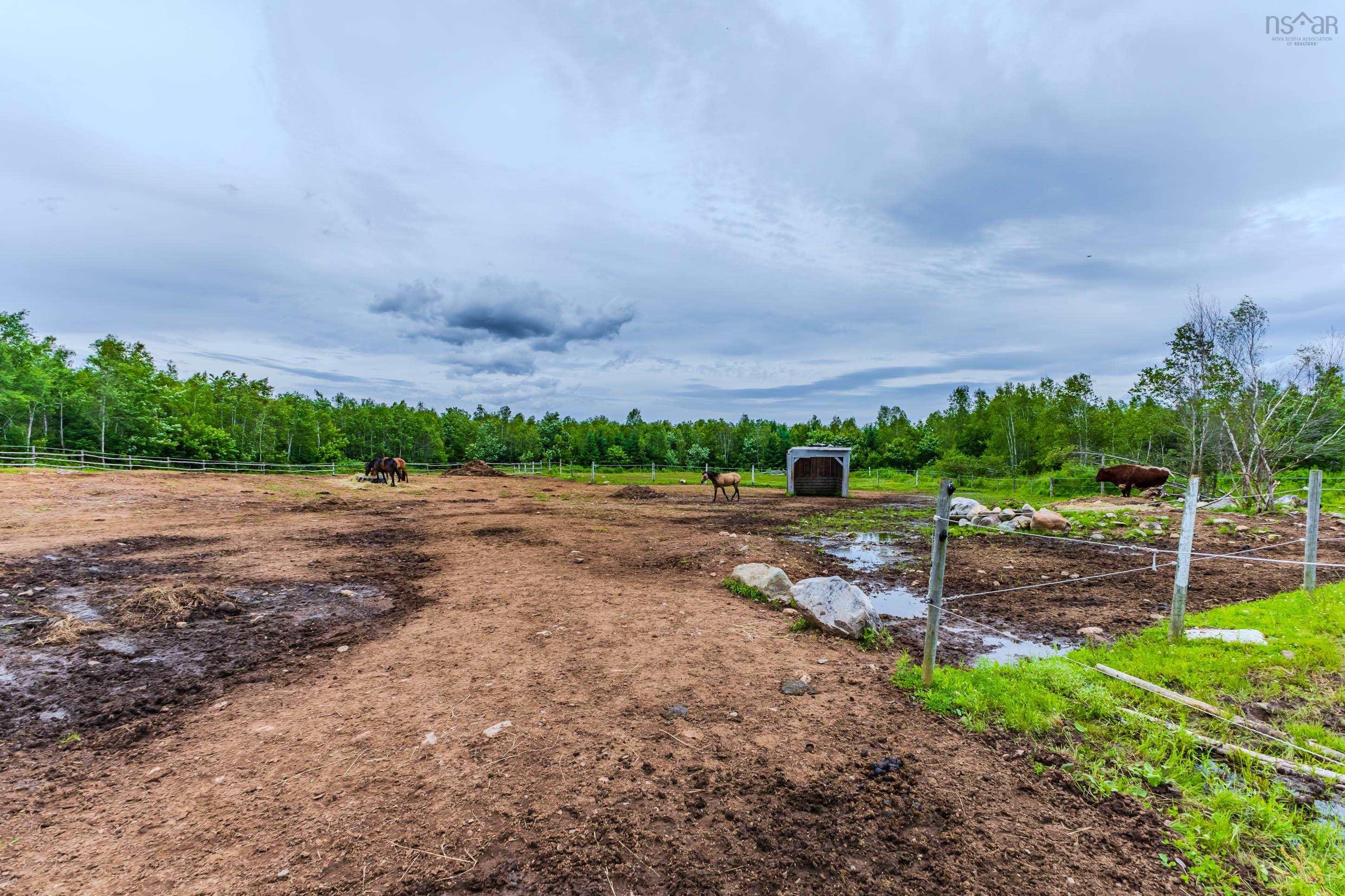 $699,999.00: 1554 PLEASANT VALLEY Road, Pleasant Valley