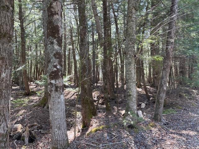 $249,900.00: Lot 1 Arrowhead Drive, Enfield
