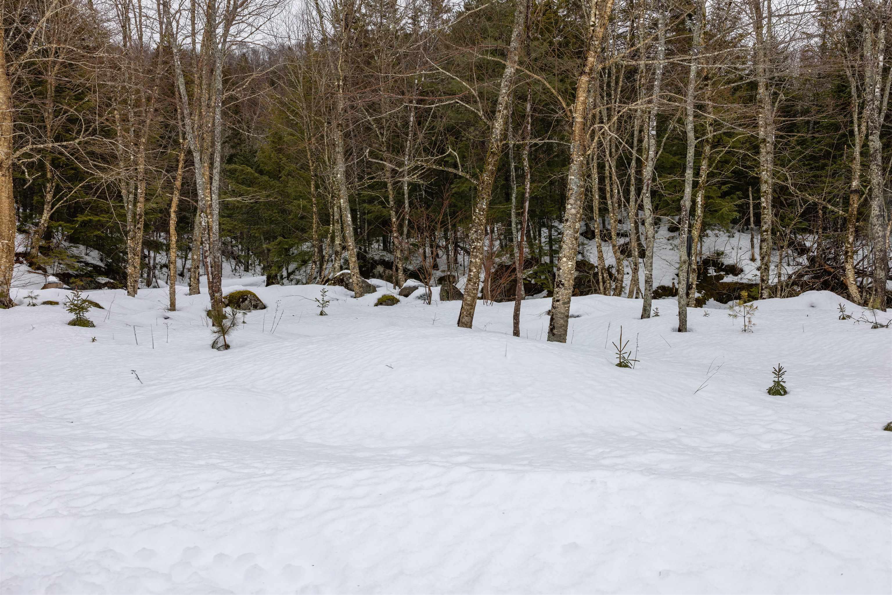 $249,900.00: 16568 Highway 316, Country Harbour