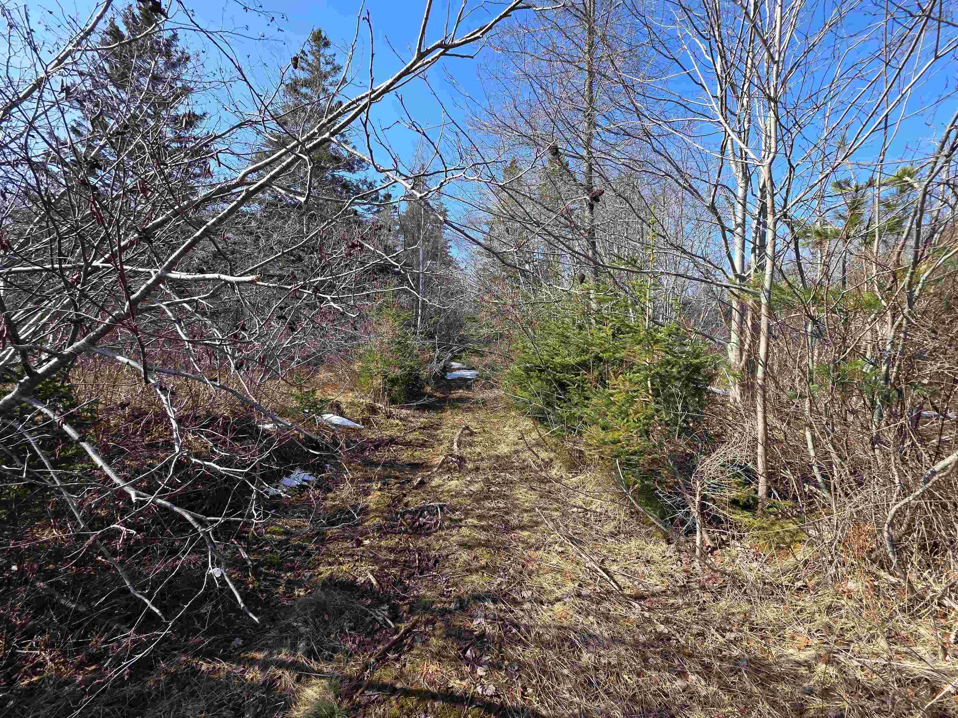 $172,900.00: 659 Eastern Shore Road, Beach Meadows