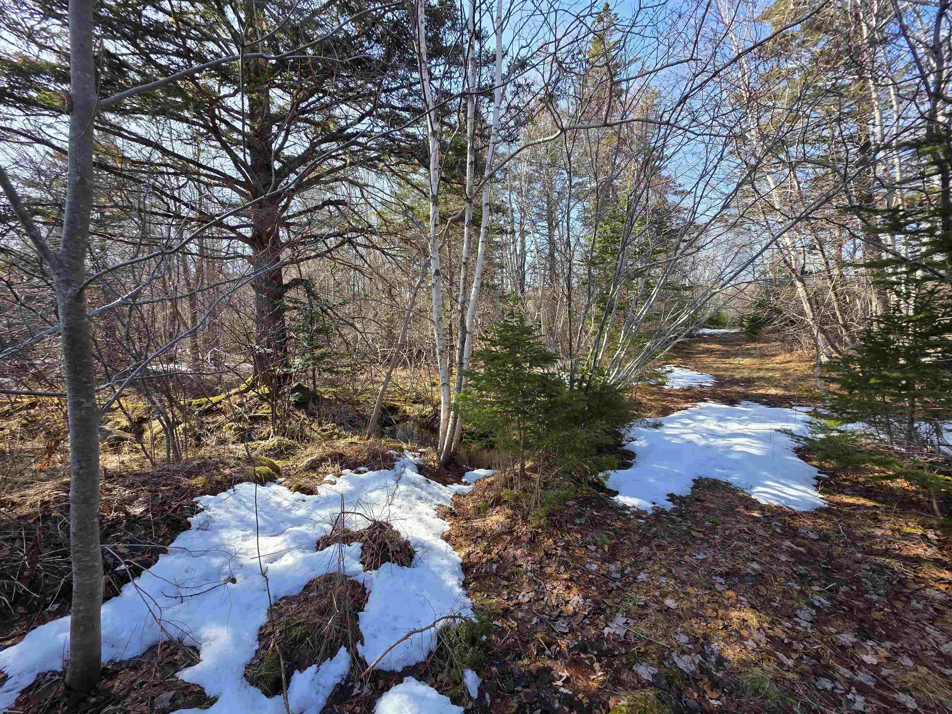 $172,900.00: 659 Eastern Shore Road, Beach Meadows