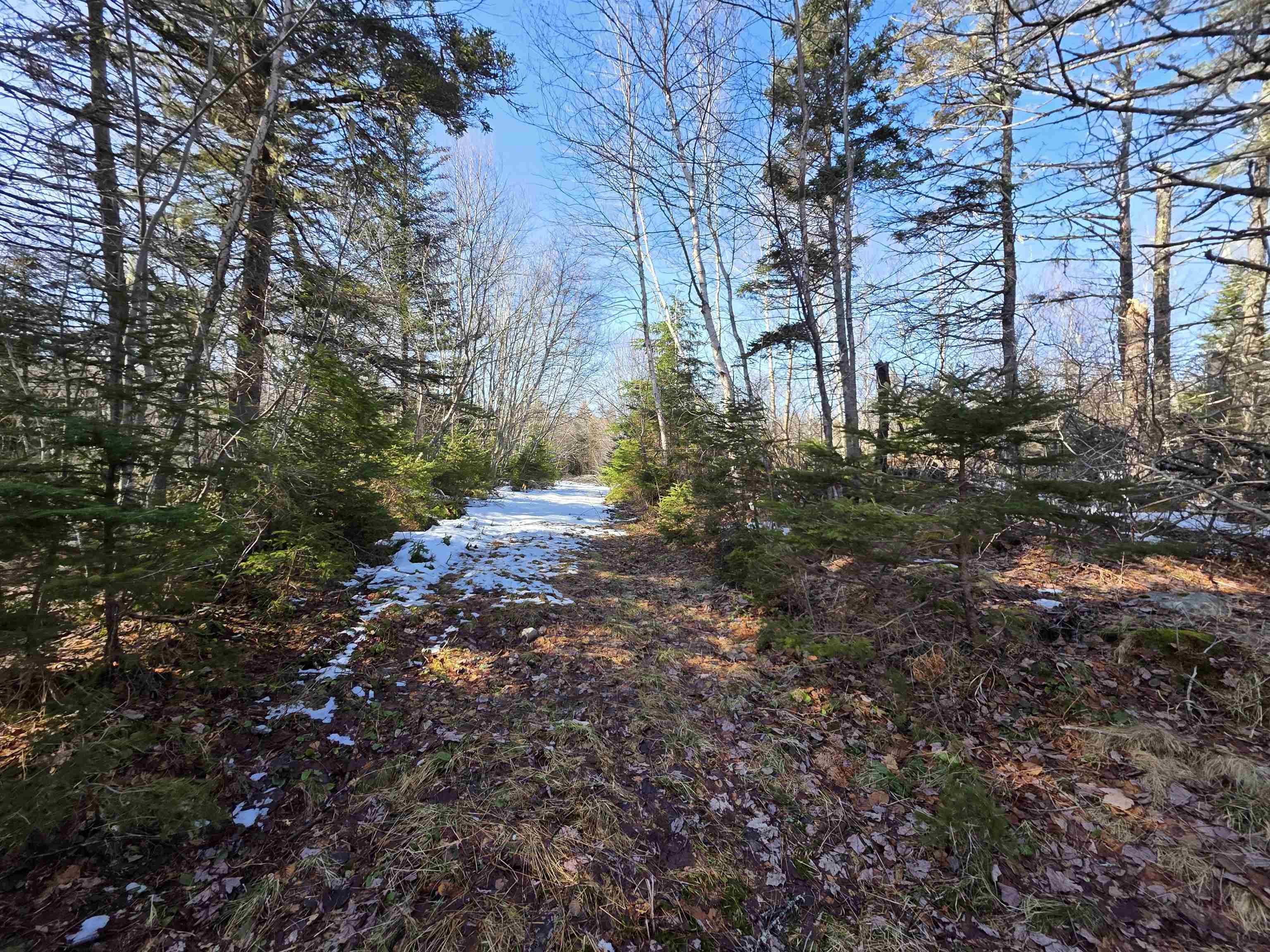 $172,900.00: 659 Eastern Shore Road, Beach Meadows