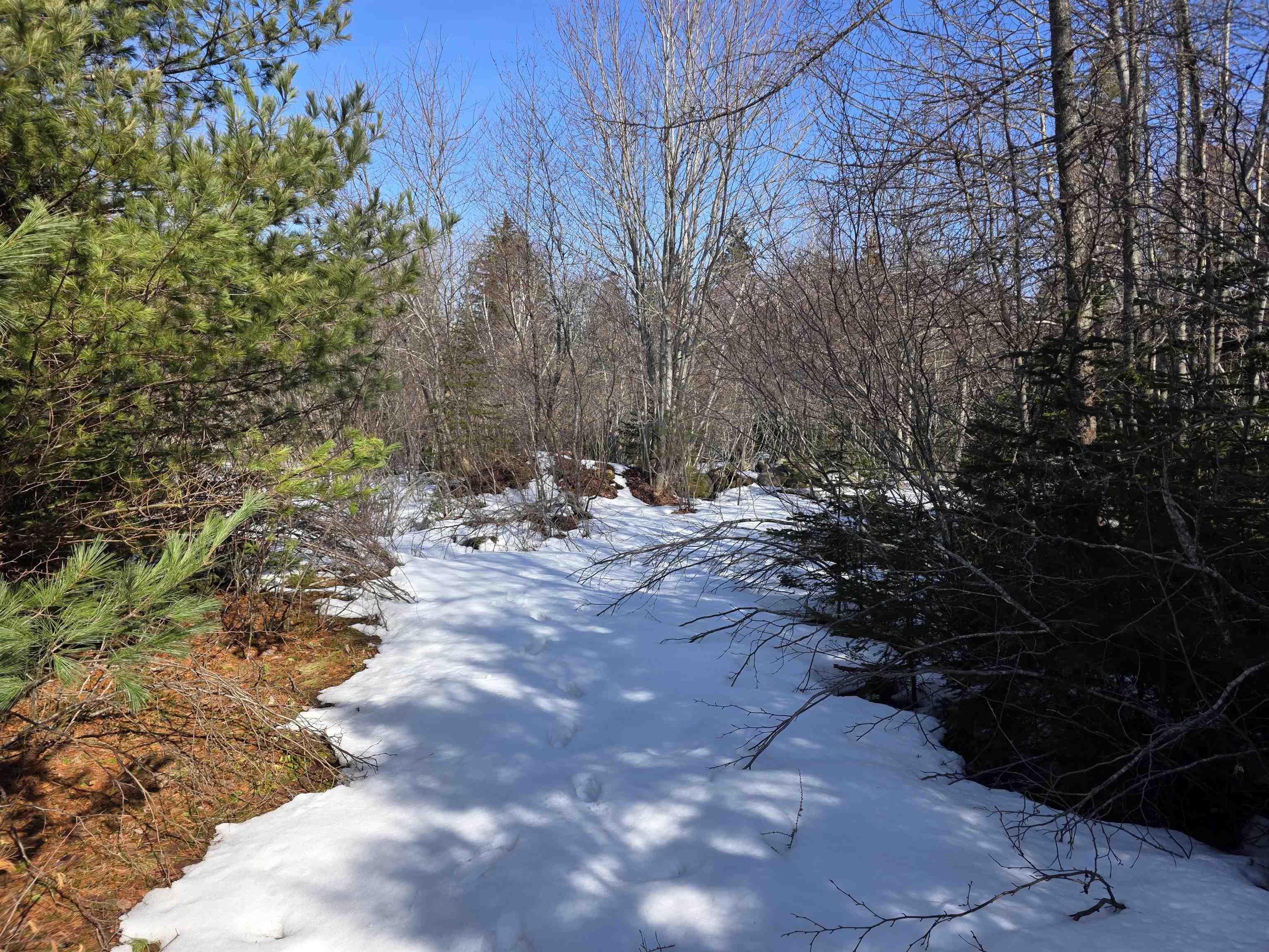 $172,900.00: 659 Eastern Shore Road, Beach Meadows