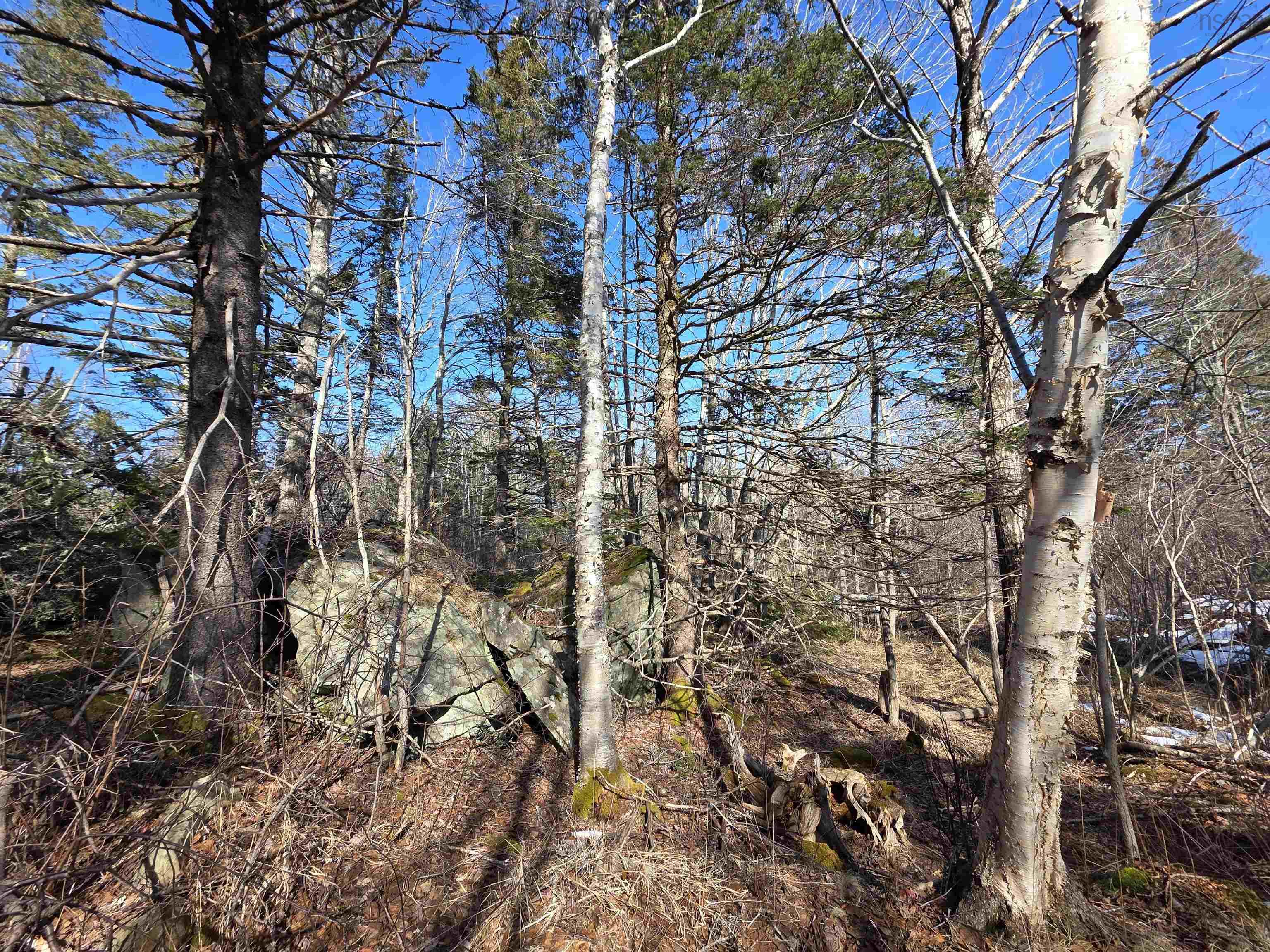 $172,900.00: 659 Eastern Shore Road, Beach Meadows