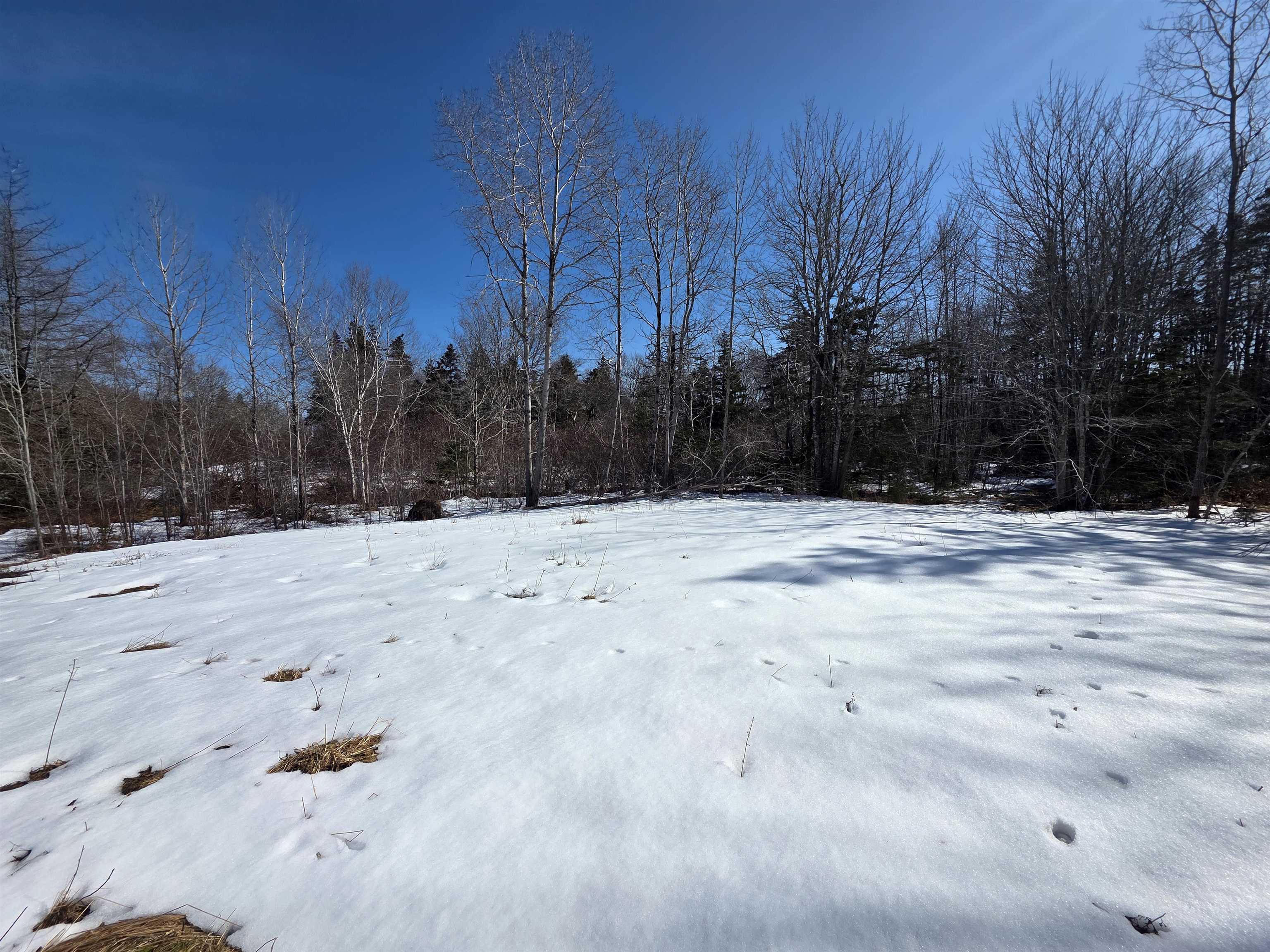 $172,900.00: 659 Eastern Shore Road, Beach Meadows