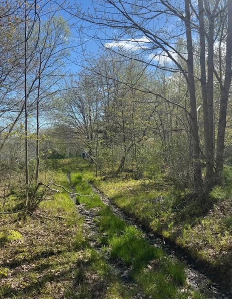 $50,000.00: James Street, Brooklyn