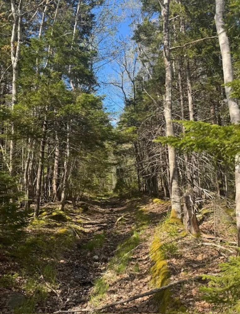 $50,000.00: James Street, Brooklyn