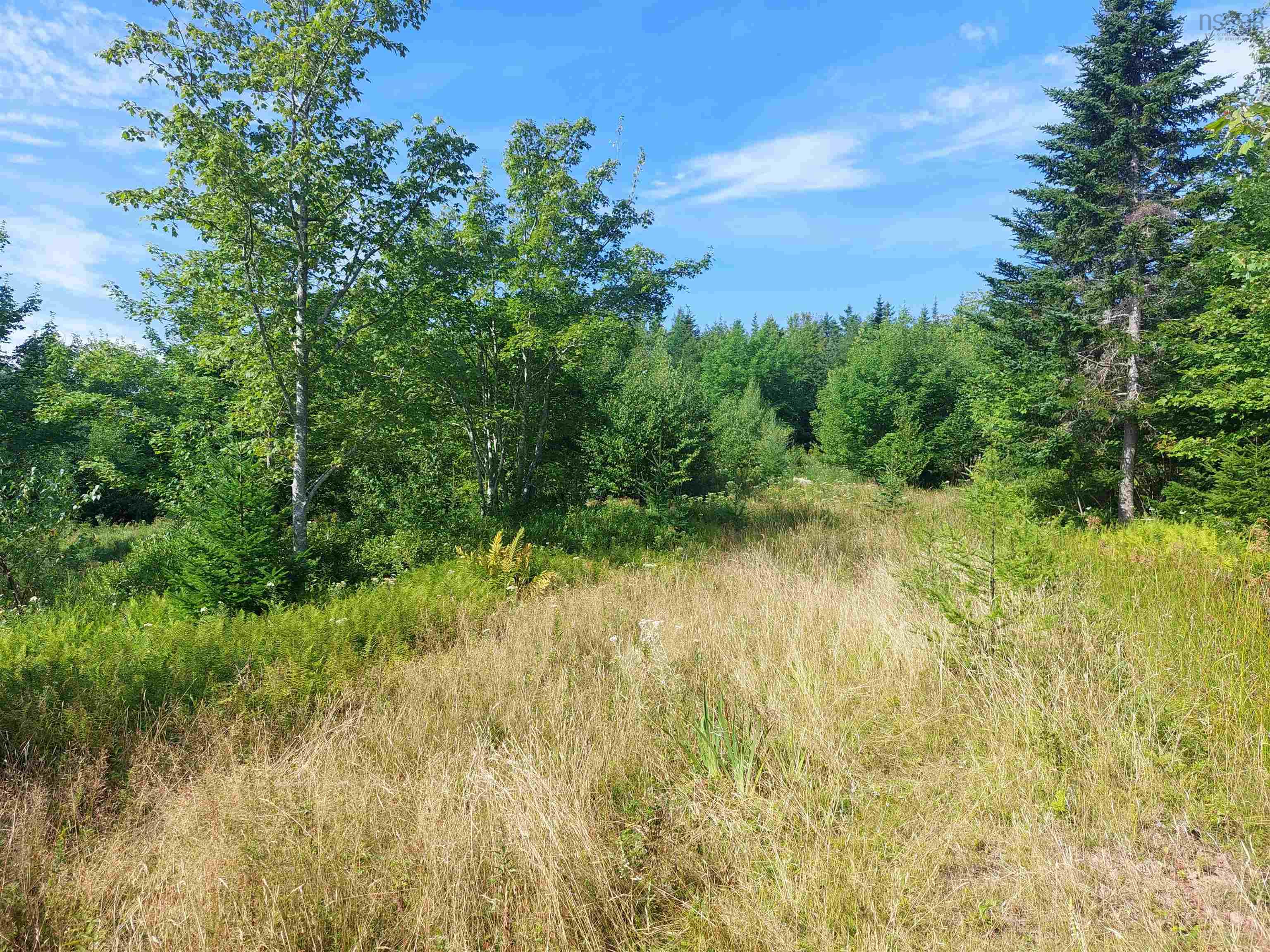 $35,000.00: Lot 5 Hill St, French Cove