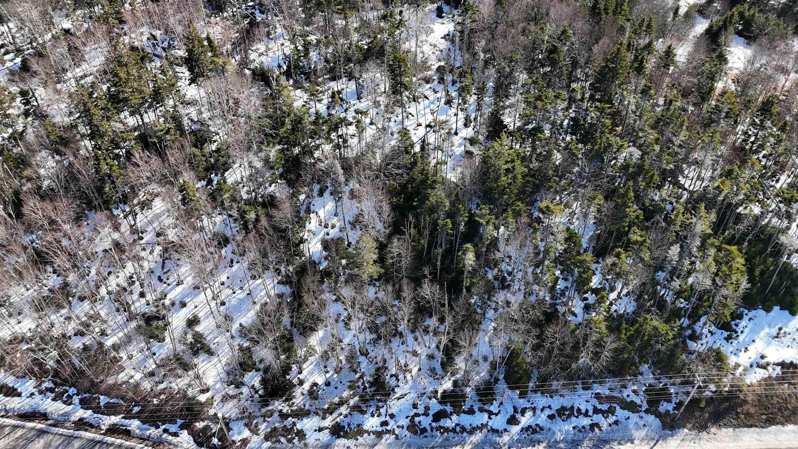 $135,000.00: Highway 4, Lynche River