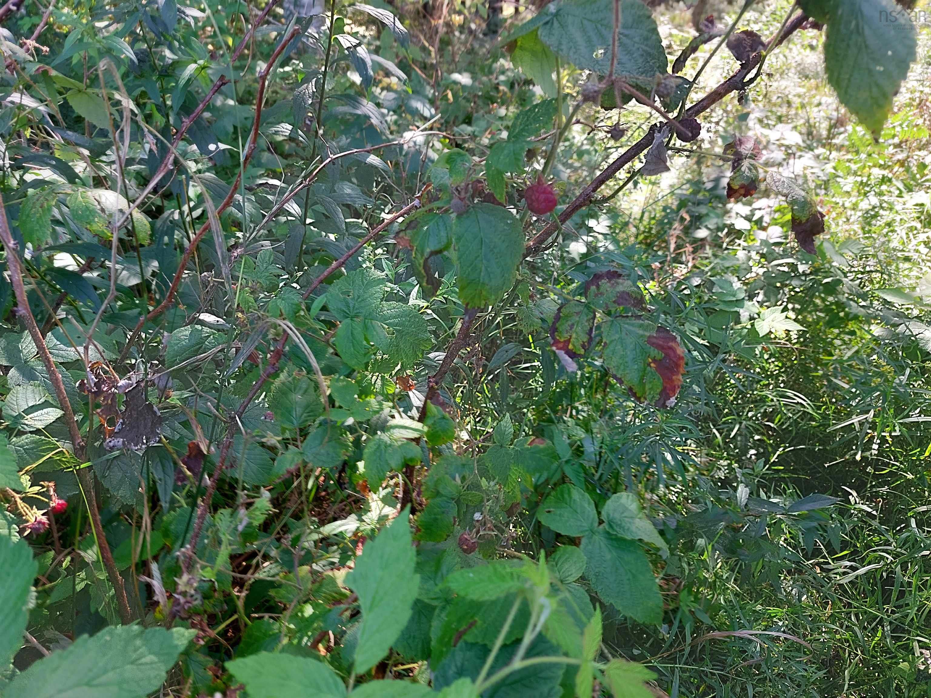 $29,000.00: Lot 9 West Bay Hwy, French Cove