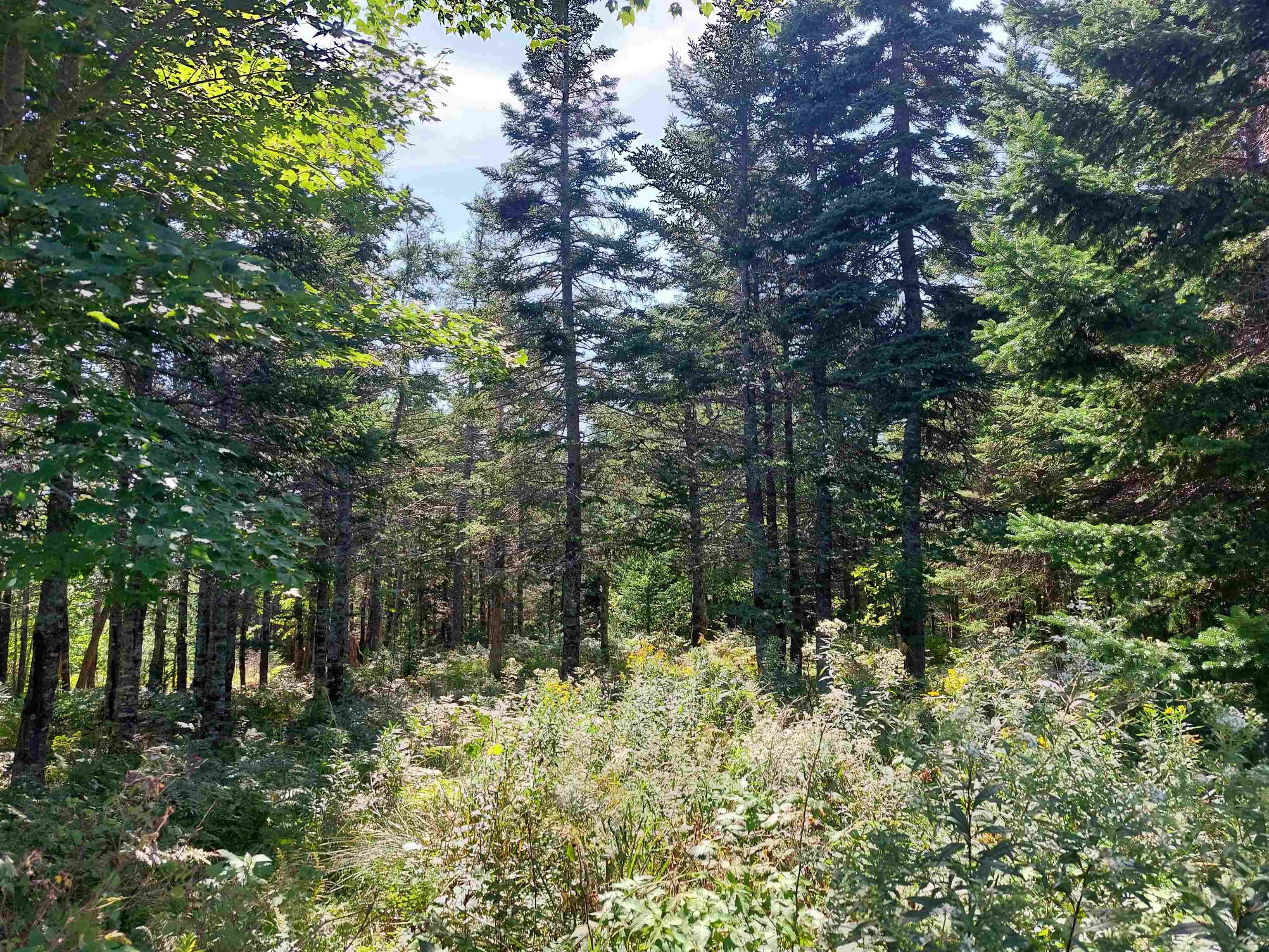 $29,000.00: Lot 9 West Bay Hwy, French Cove