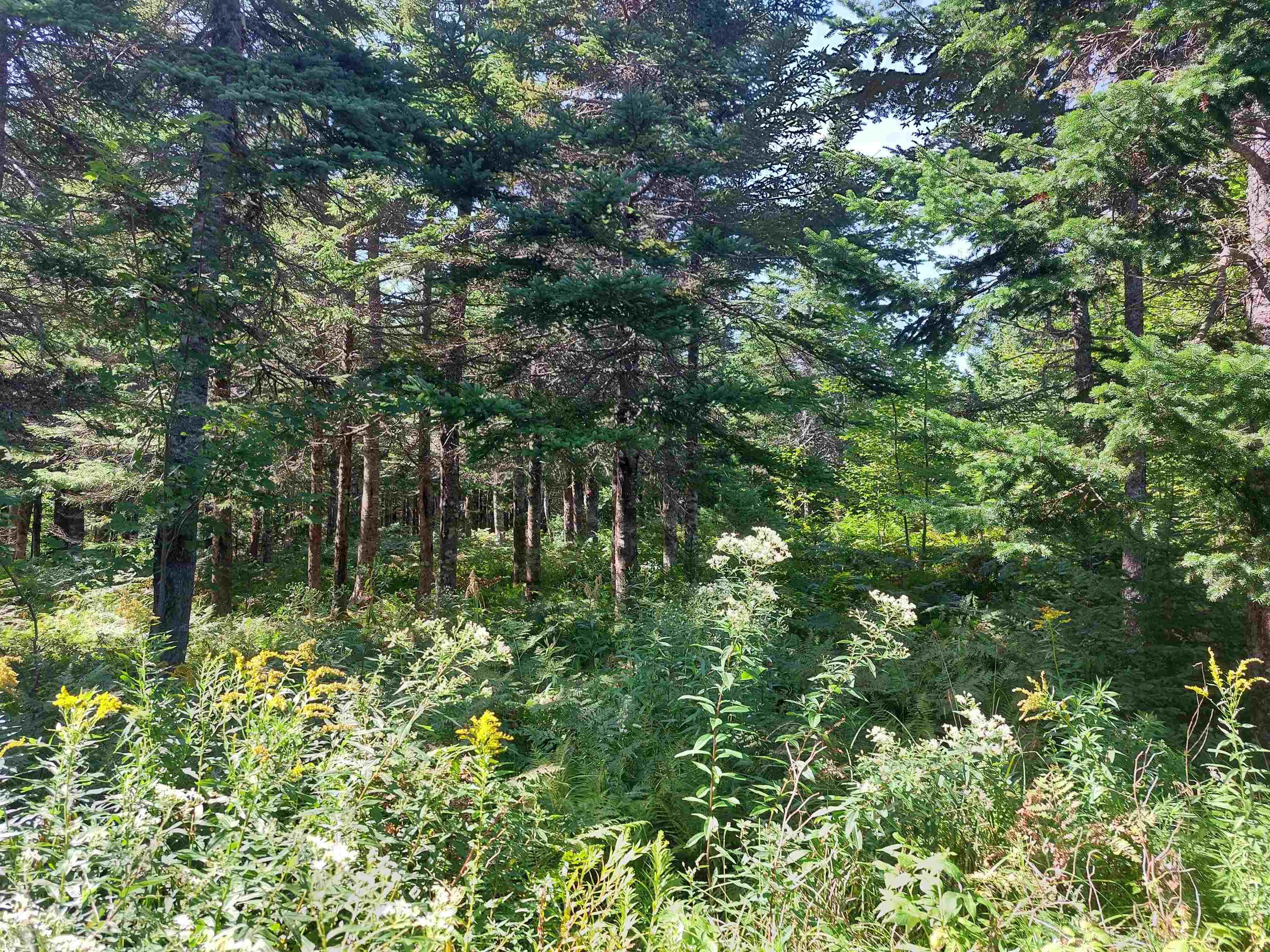 $29,000.00: Lot 9 West Bay Hwy, French Cove