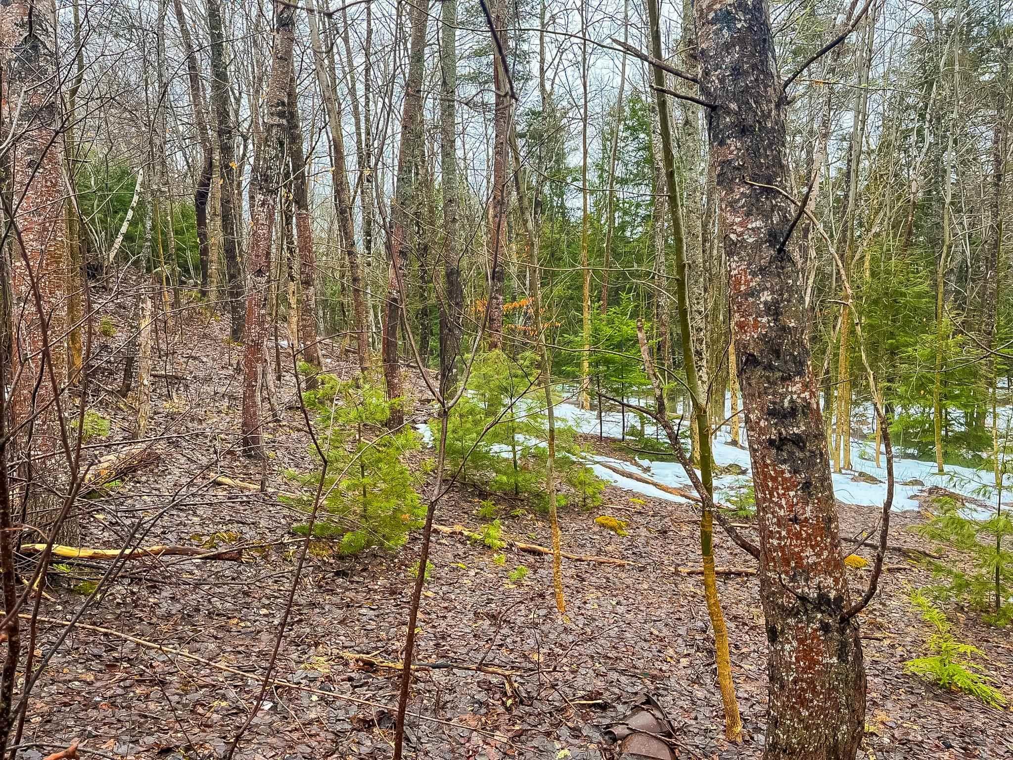 $29,900.00: Lot Highway 10, West Northfield