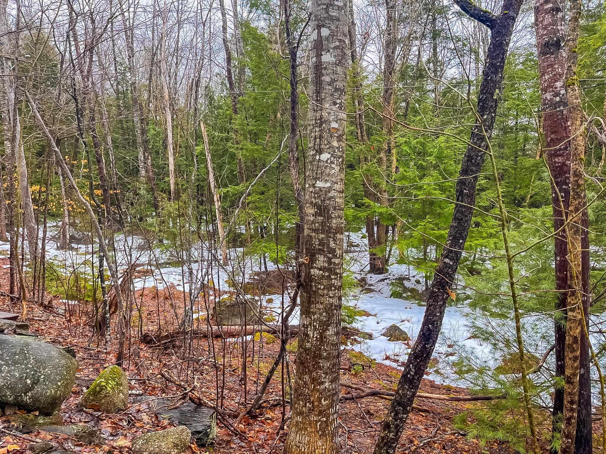 $29,900.00: Lot Highway 10, West Northfield