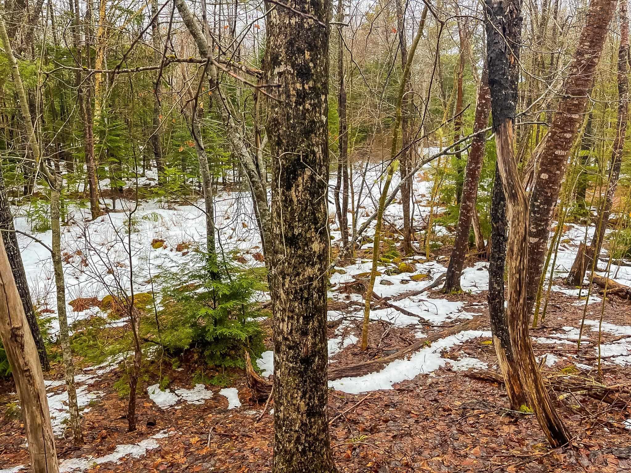 $29,900.00: Lot Highway 10, West Northfield