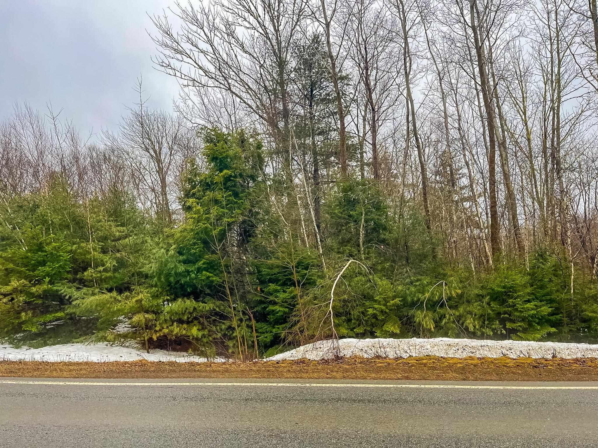 $29,900.00: Lot Highway 10, West Northfield