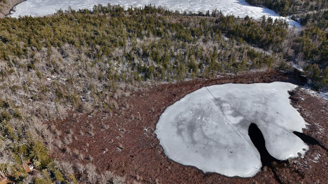 $60,000.00: Lot 3 Hamilton Road, Pleasant Valley