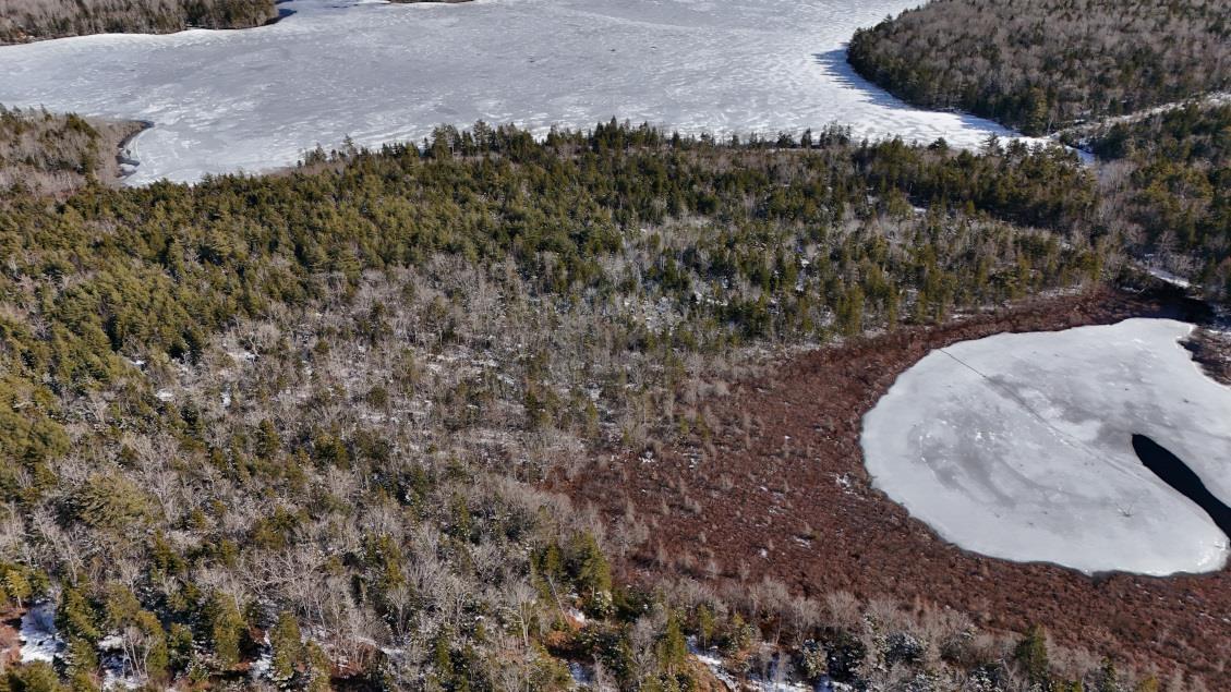 $60,000.00: Lot 3 Hamilton Road, Pleasant Valley