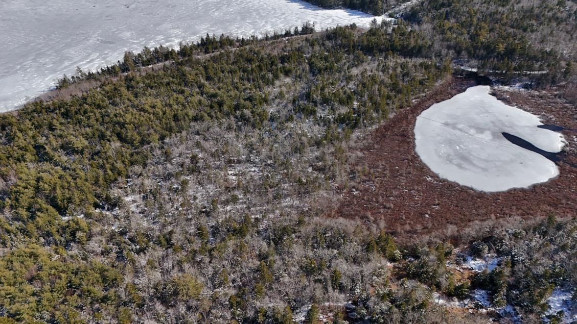 $60,000.00: Lot 3 Hamilton Road, Pleasant Valley