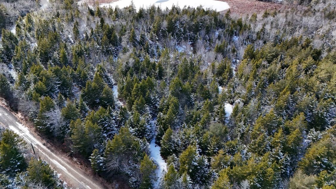 $60,000.00: Lot 3 Hamilton Road, Pleasant Valley