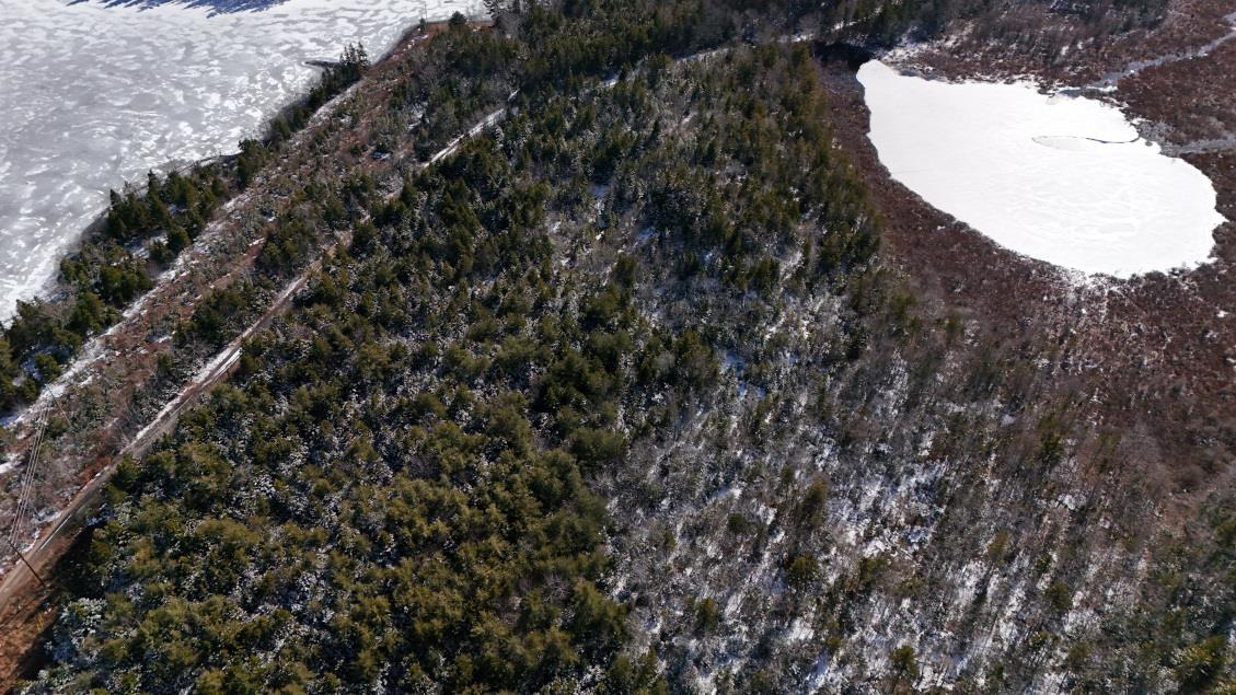 $60,000.00: Lot 3 Hamilton Road, Pleasant Valley