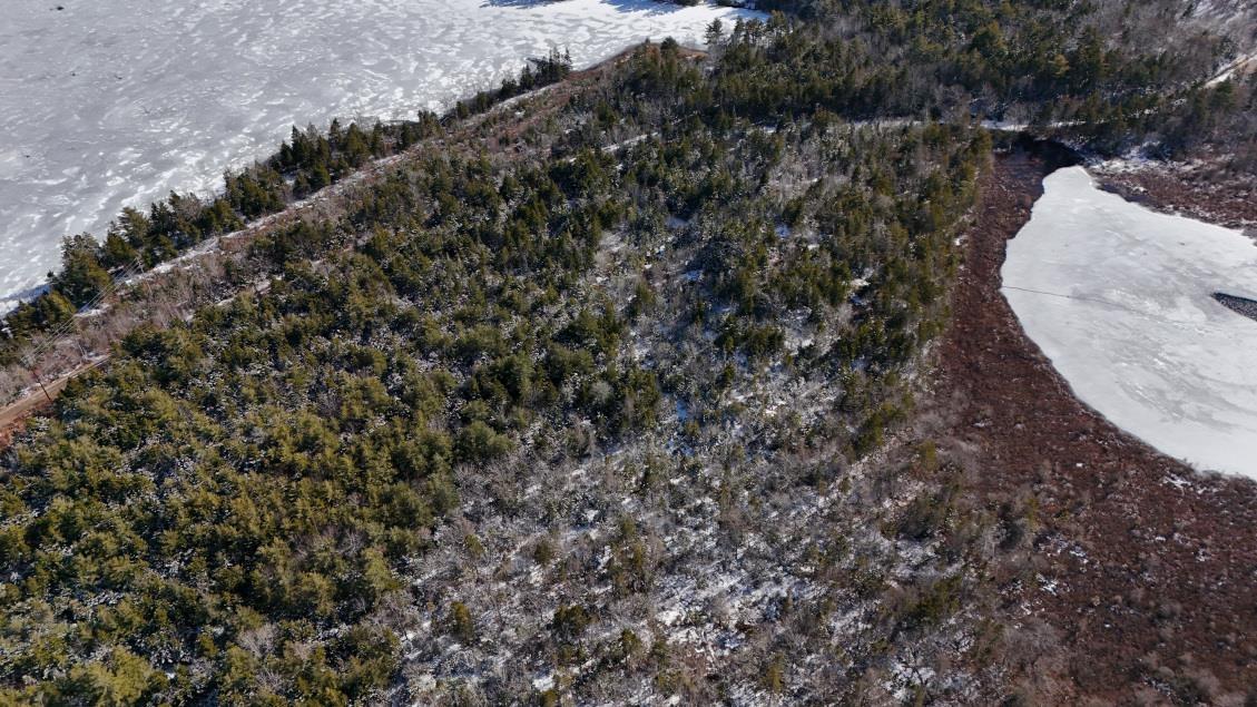 $60,000.00: Lot 3 Hamilton Road, Pleasant Valley