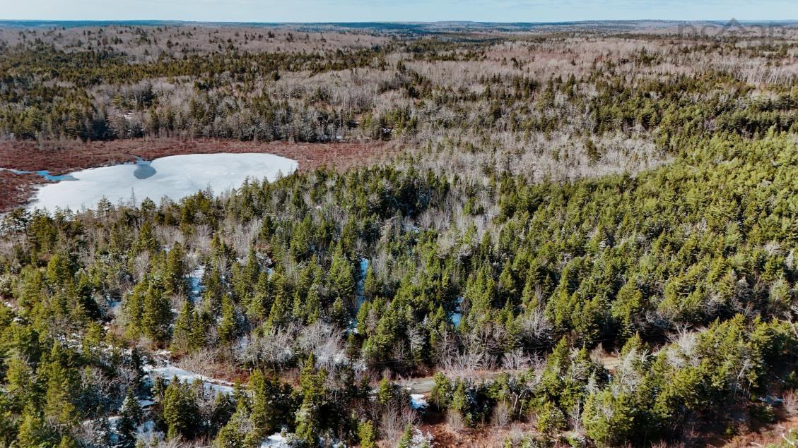 $60,000.00: Lot 3 Hamilton Road, Pleasant Valley