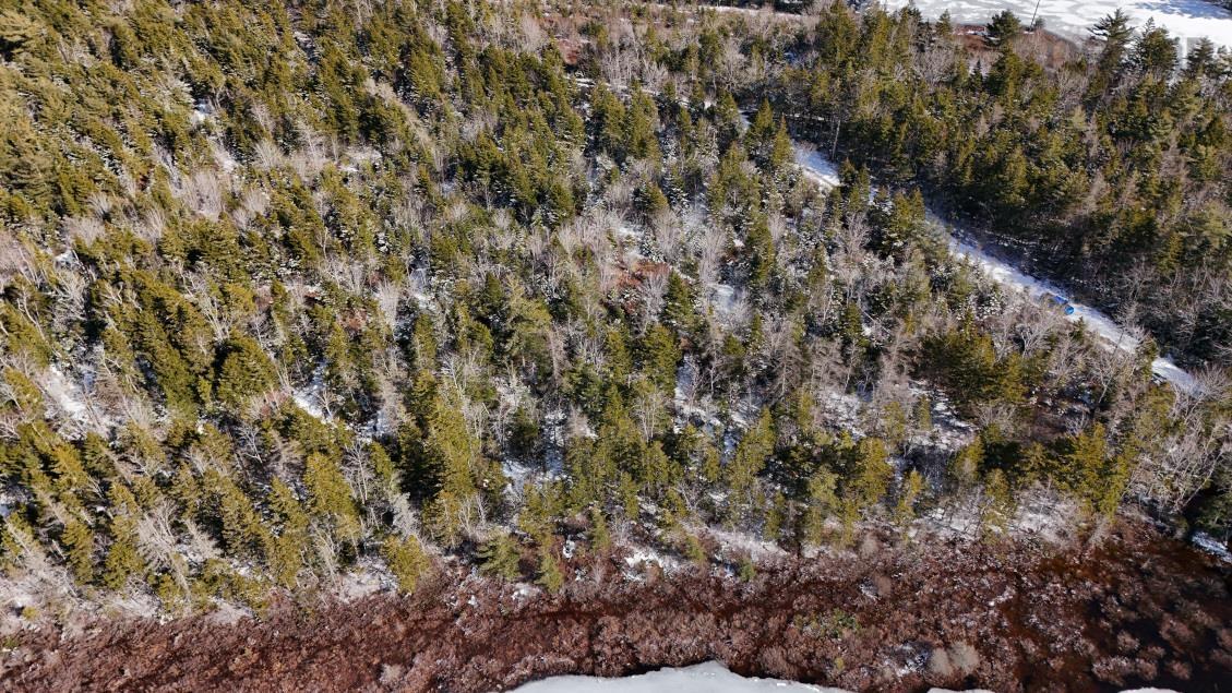 $60,000.00: Lot 3 Hamilton Road, Pleasant Valley