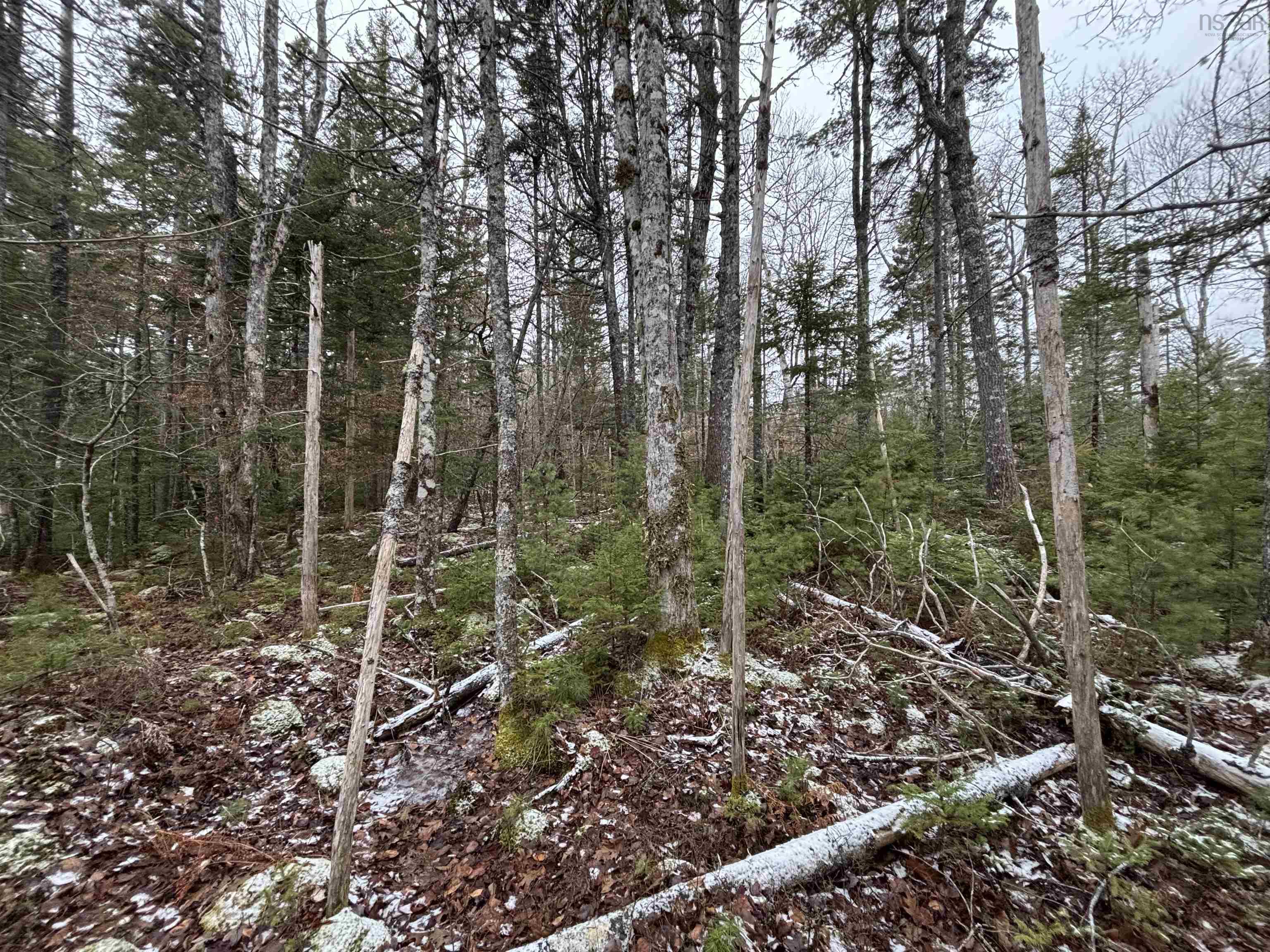 $129,900.00: Lot 7-23 Highway 325, West Clifford