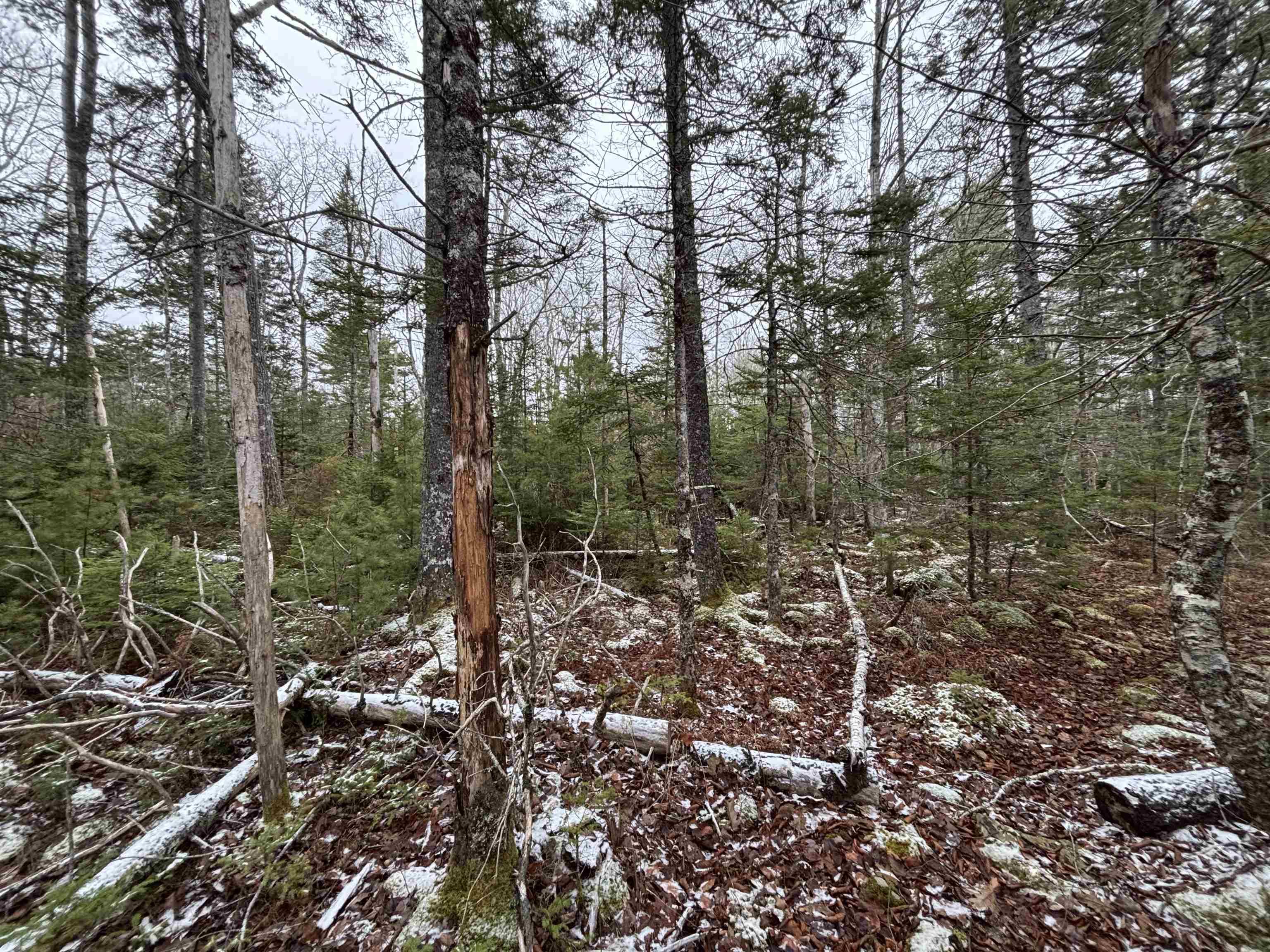 $129,900.00: Lot 7-23 Highway 325, West Clifford