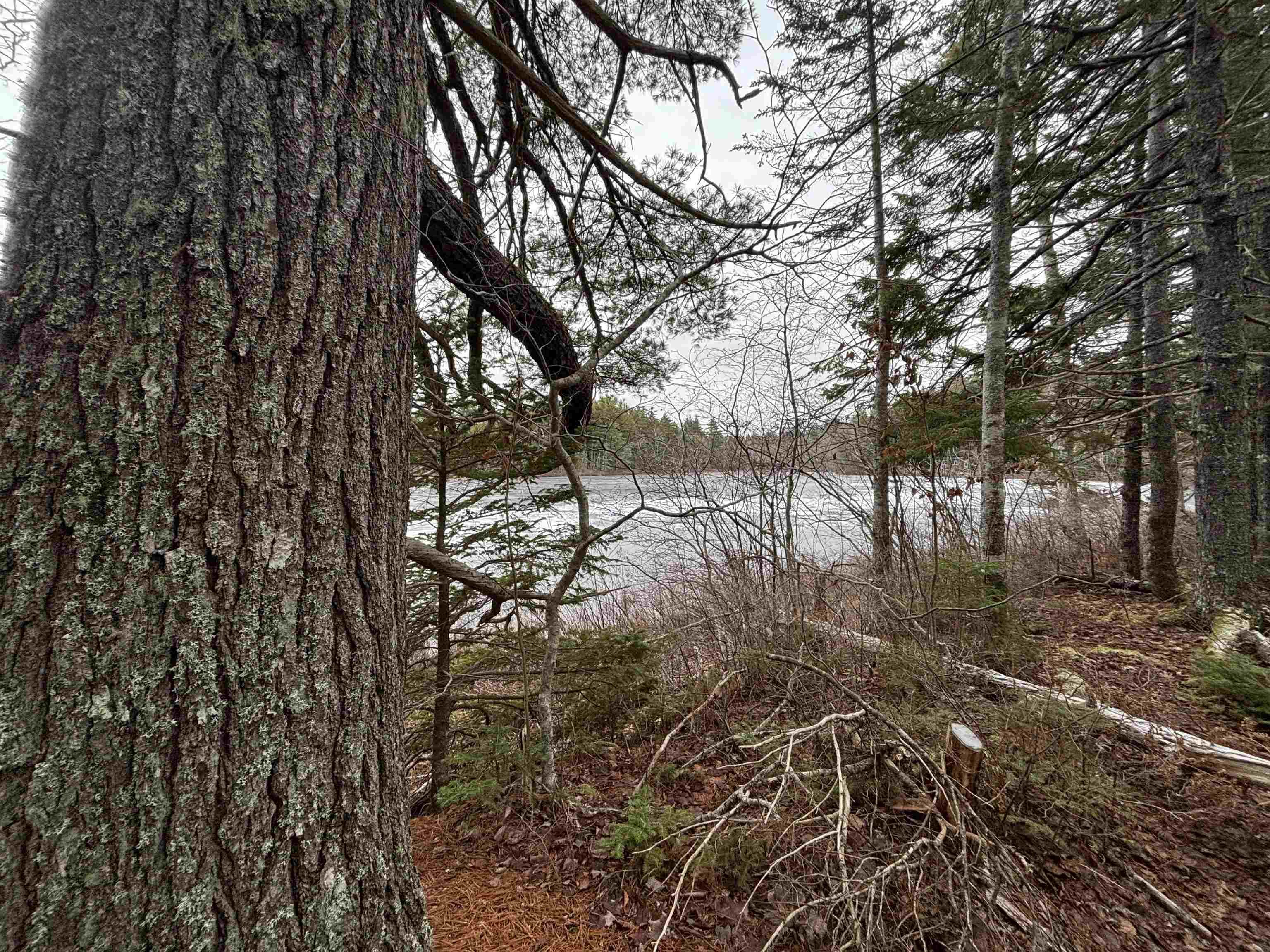 $129,900.00: Lot 6-23 Highway 325, West Clifford