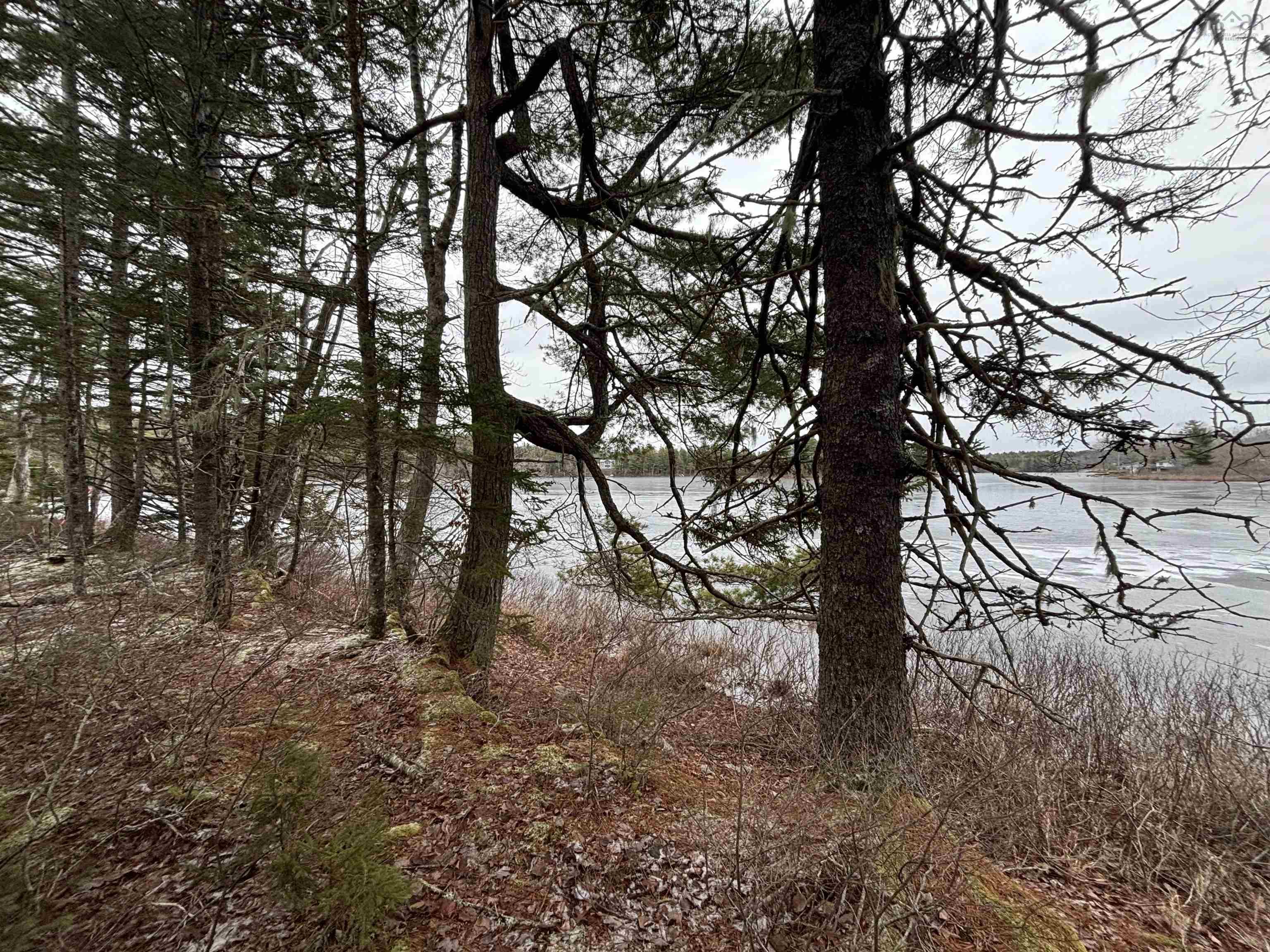 $129,900.00: Lot 6-23 Highway 325, West Clifford