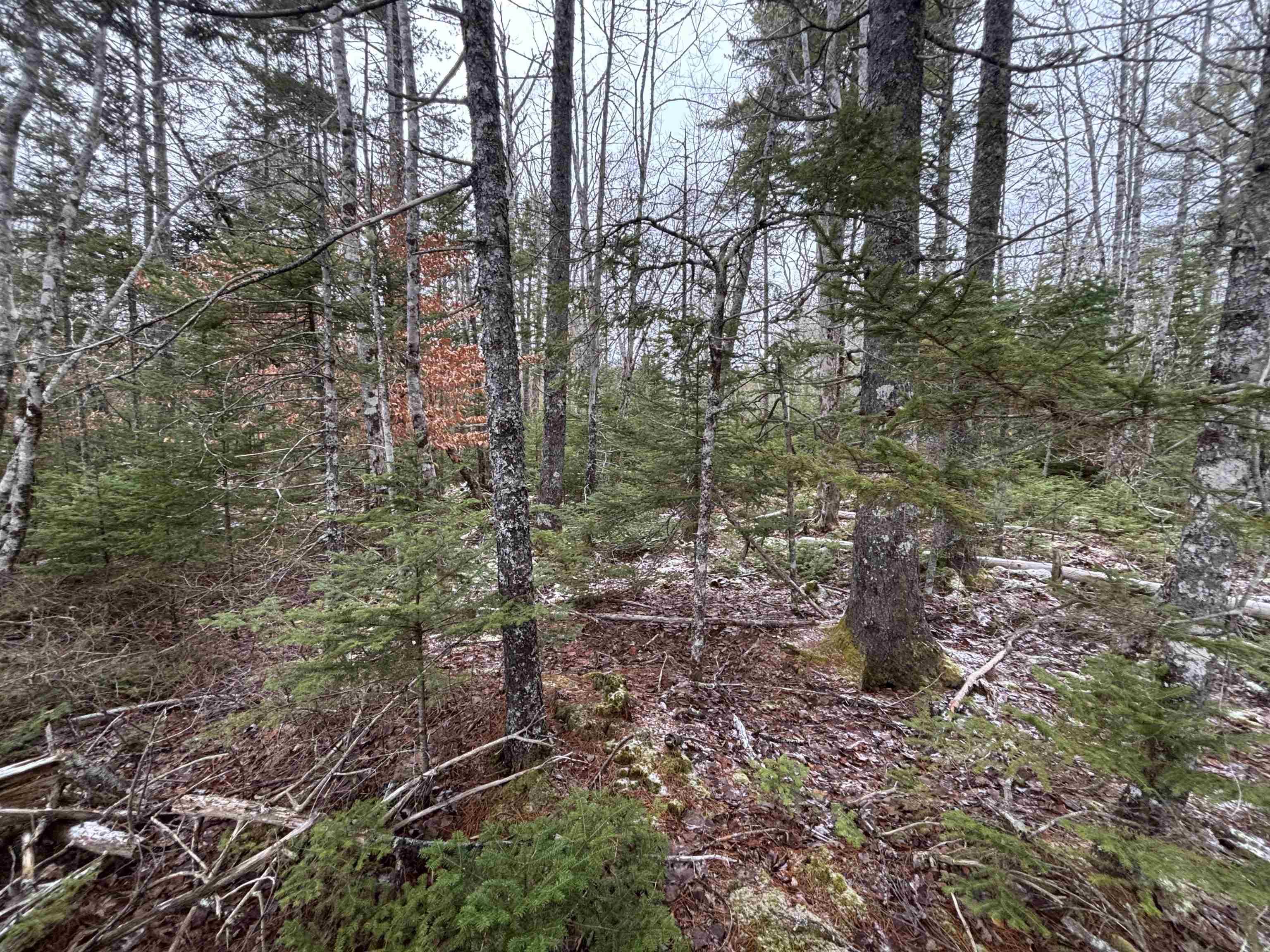 $129,900.00: Lot 6-23 Highway 325, West Clifford