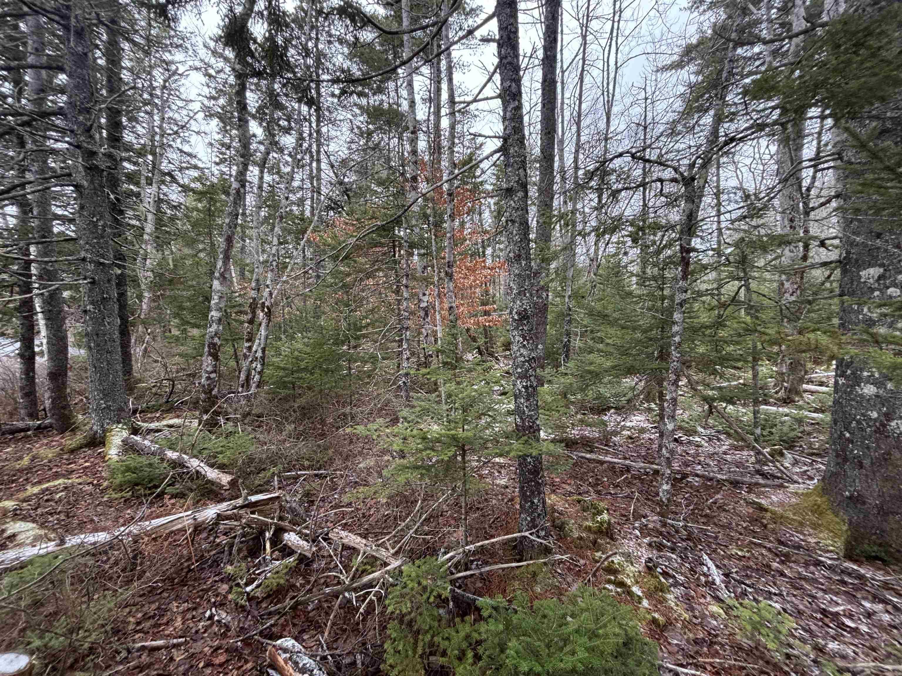 $129,900.00: Lot 6-23 Highway 325, West Clifford