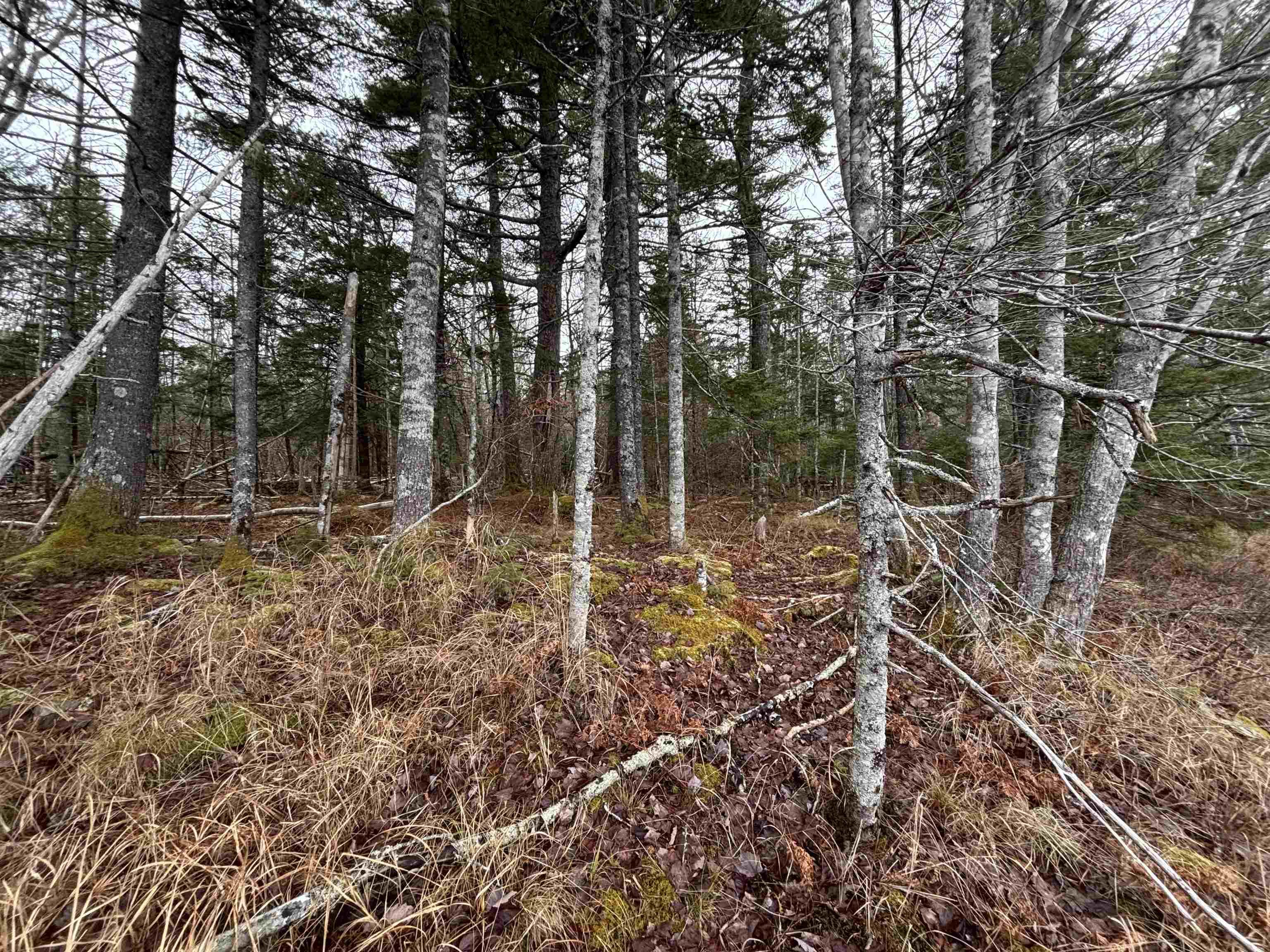 $129,900.00: Lot 3-23 Highway 325, West Clifford