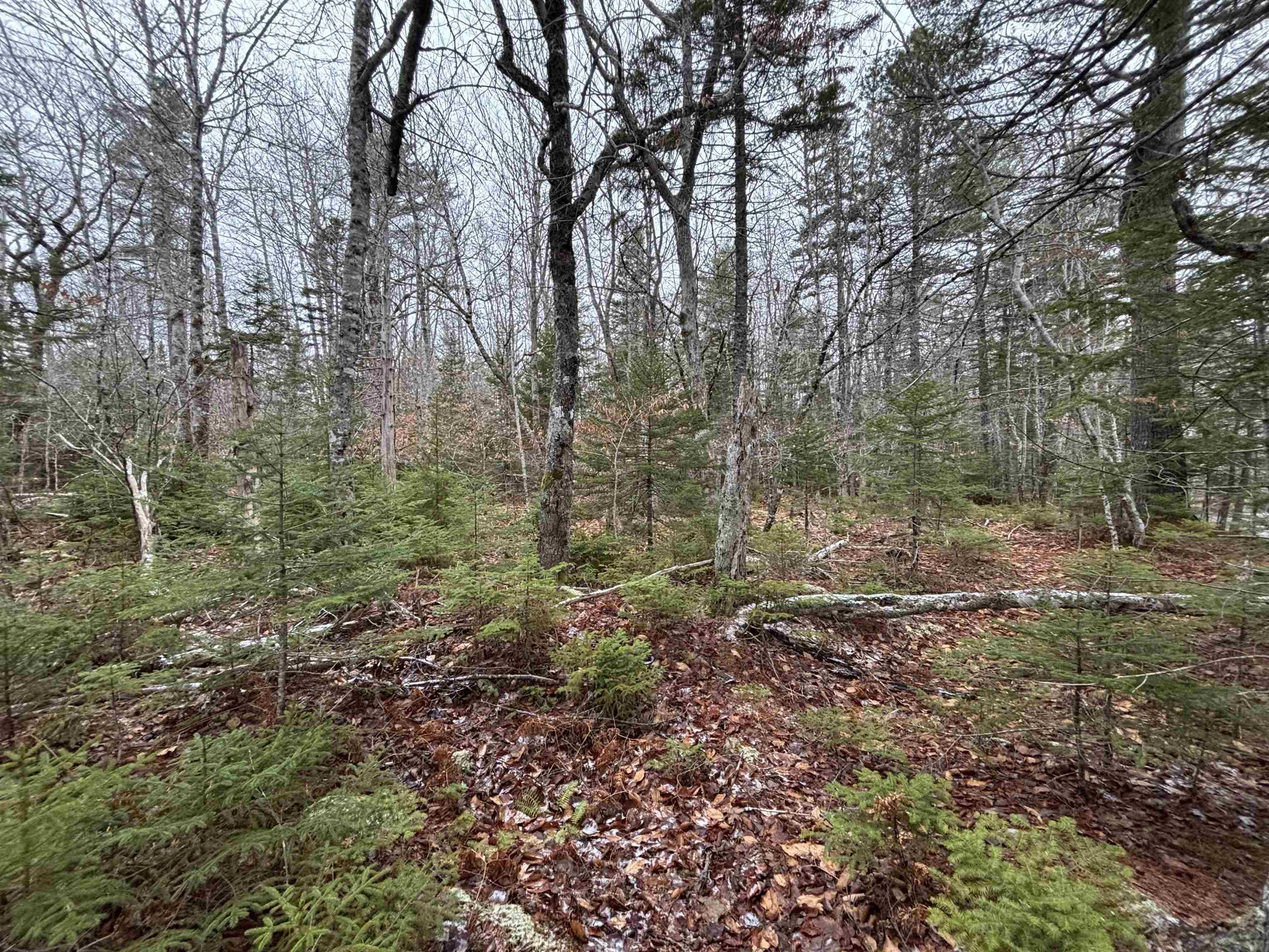 $129,900.00: Lot 4-23 Highway 325, West Clifford