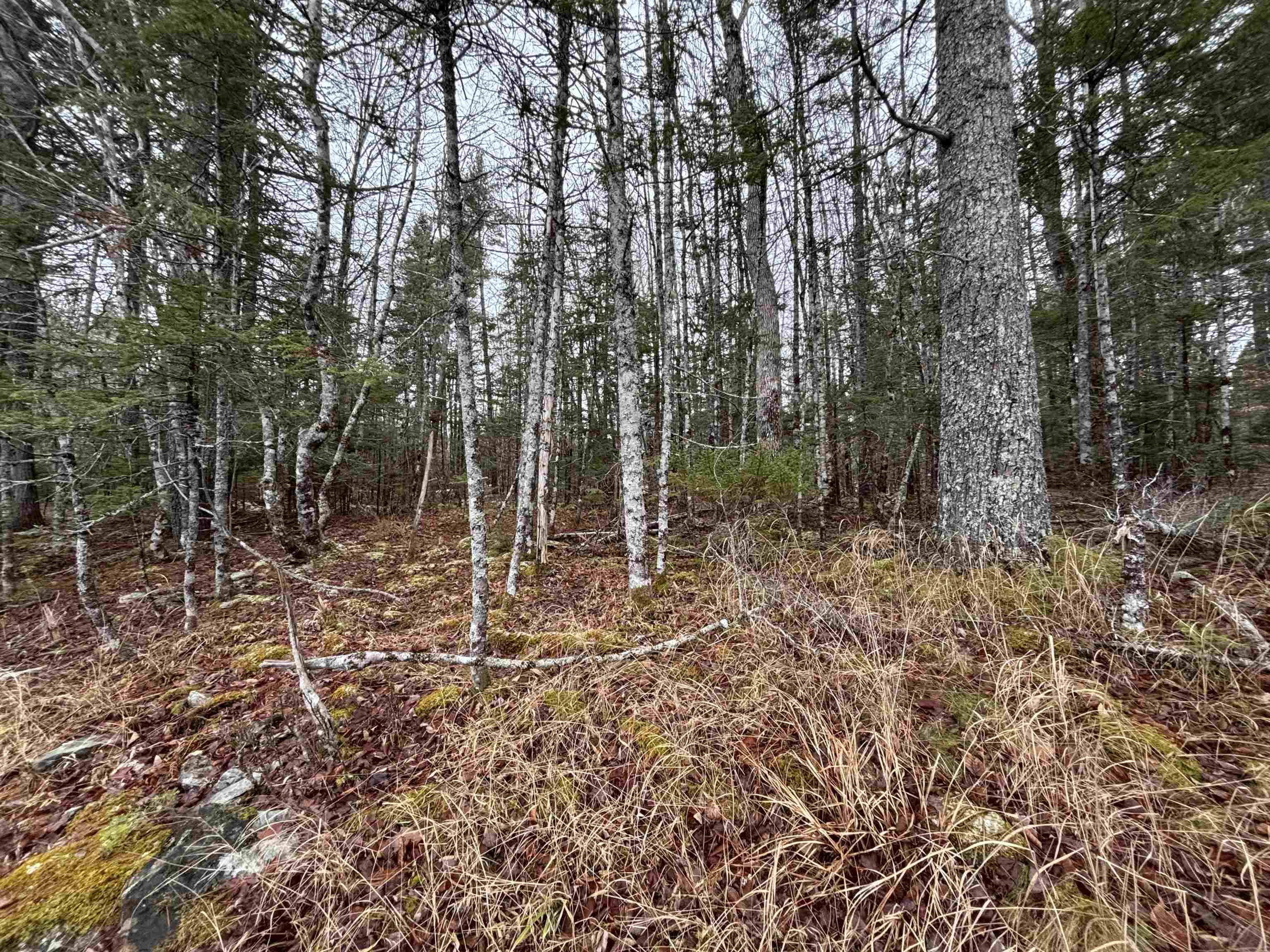 $129,900.00: Lot 4-23 Highway 325, West Clifford