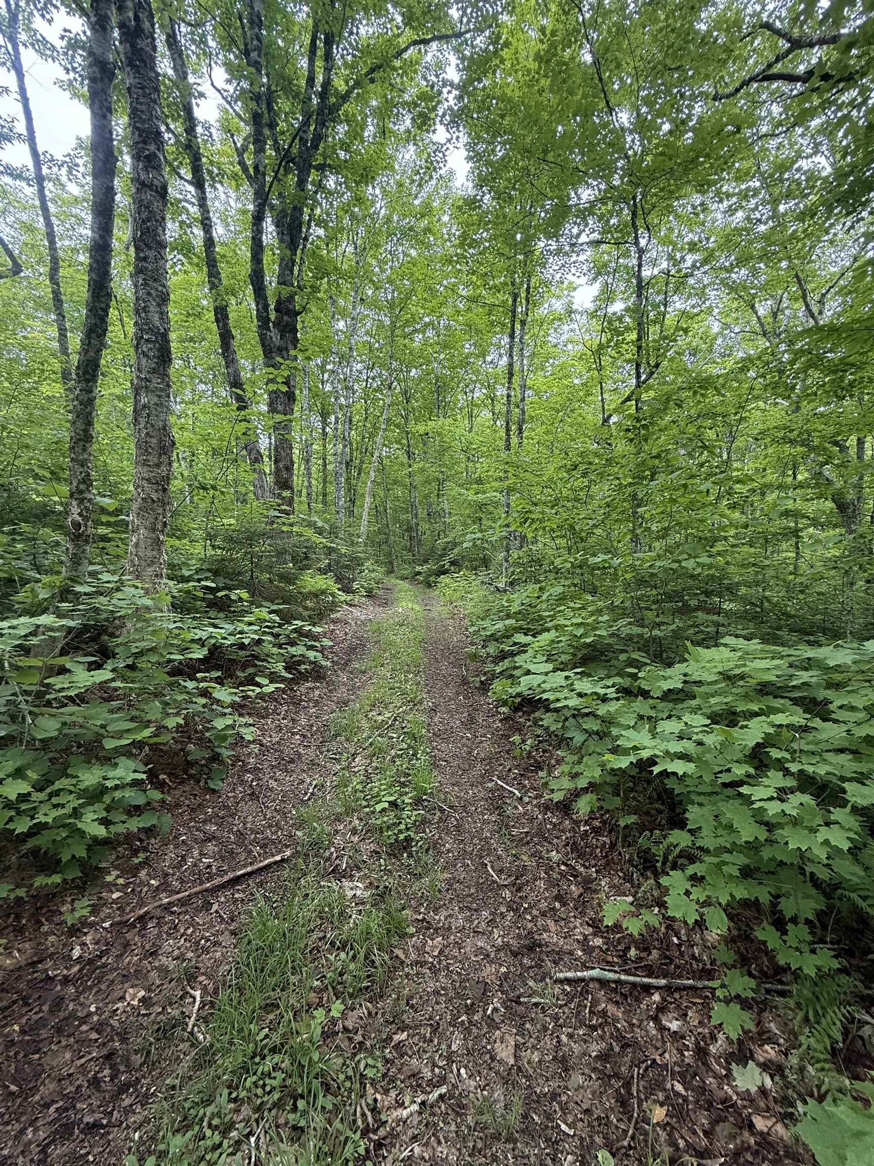 $139,000.00: Lot (PID 20098885) Truro Road, New Annan