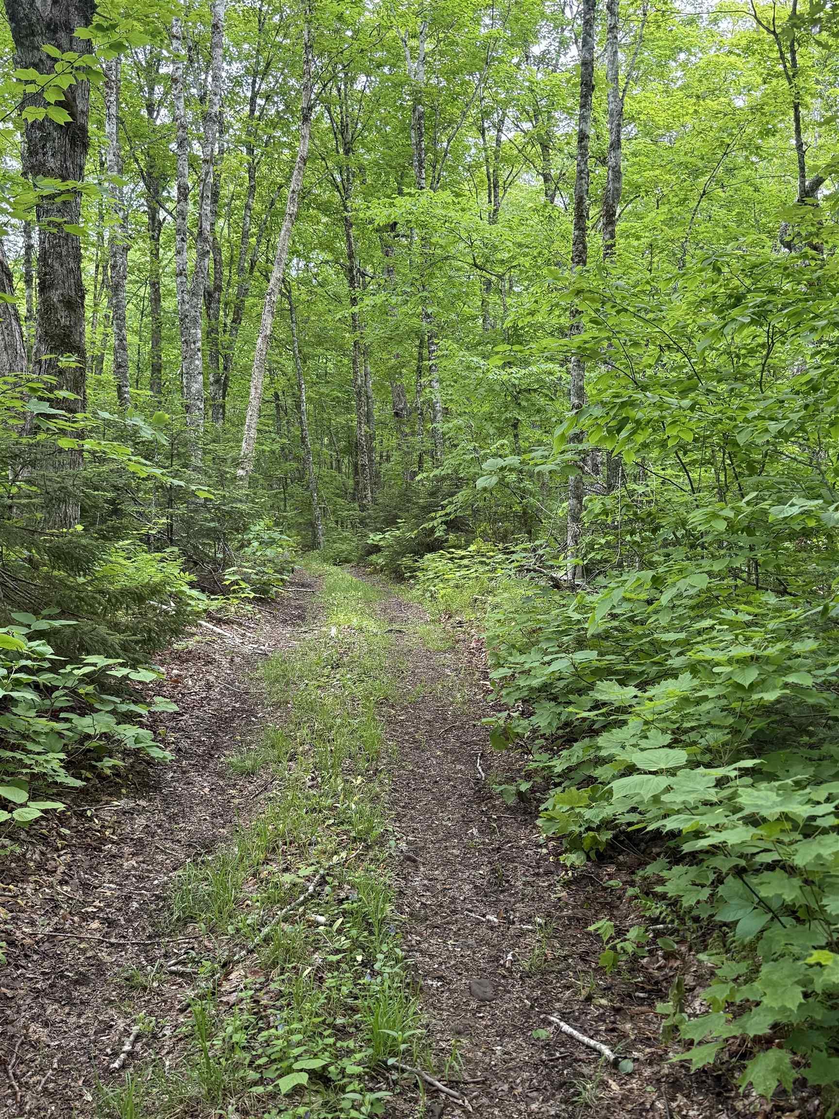 $139,000.00: Lot (PID 20098885) Truro Road, New Annan