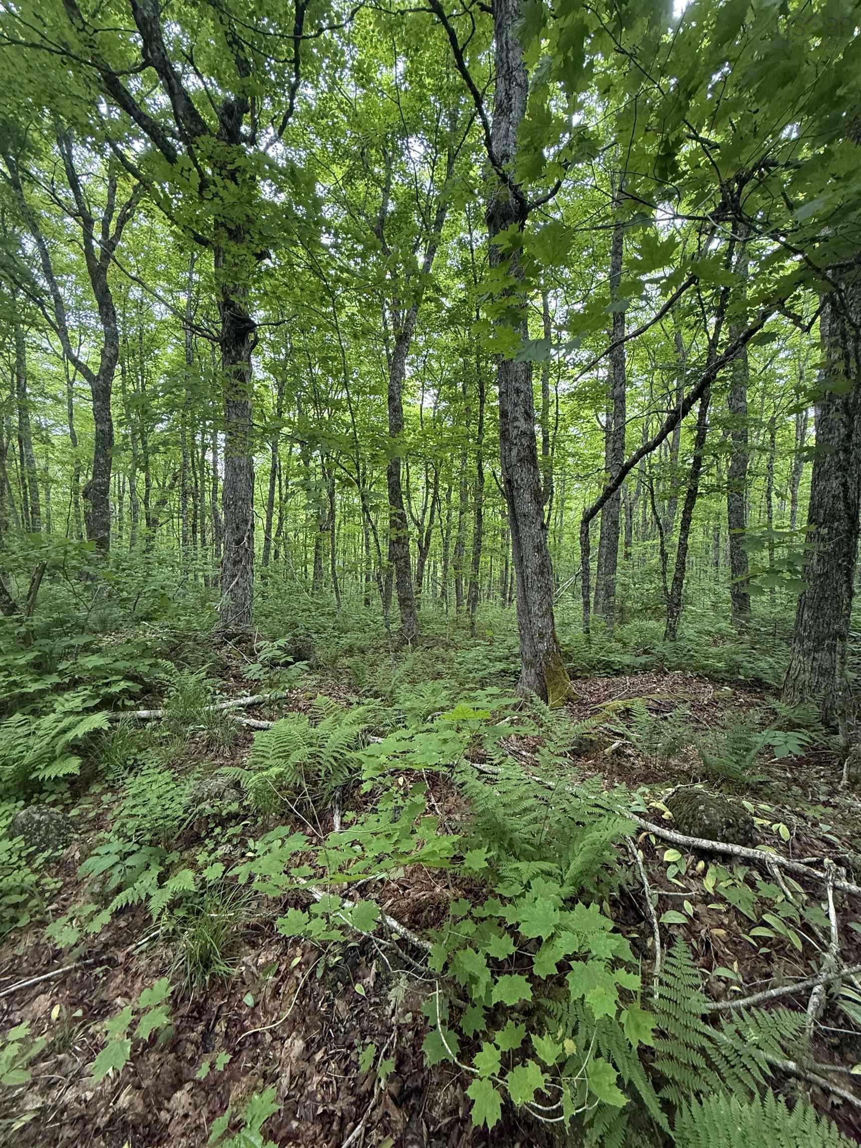 $139,000.00: Lot (PID 20098885) Truro Road, New Annan