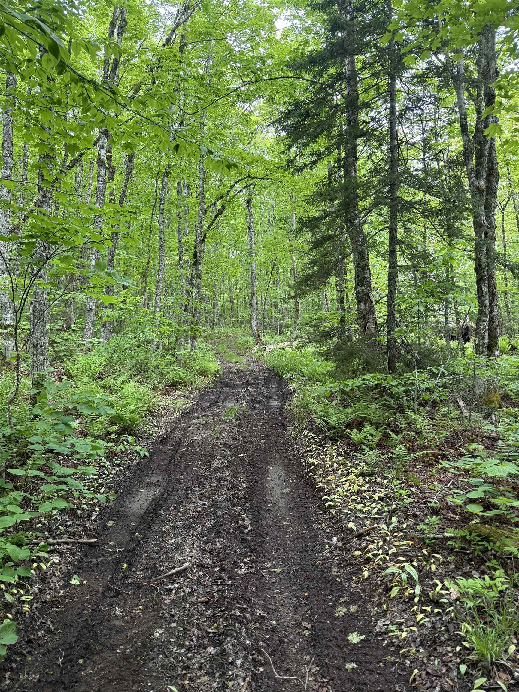 $139,000.00: Lot (PID 20098885) Truro Road, New Annan