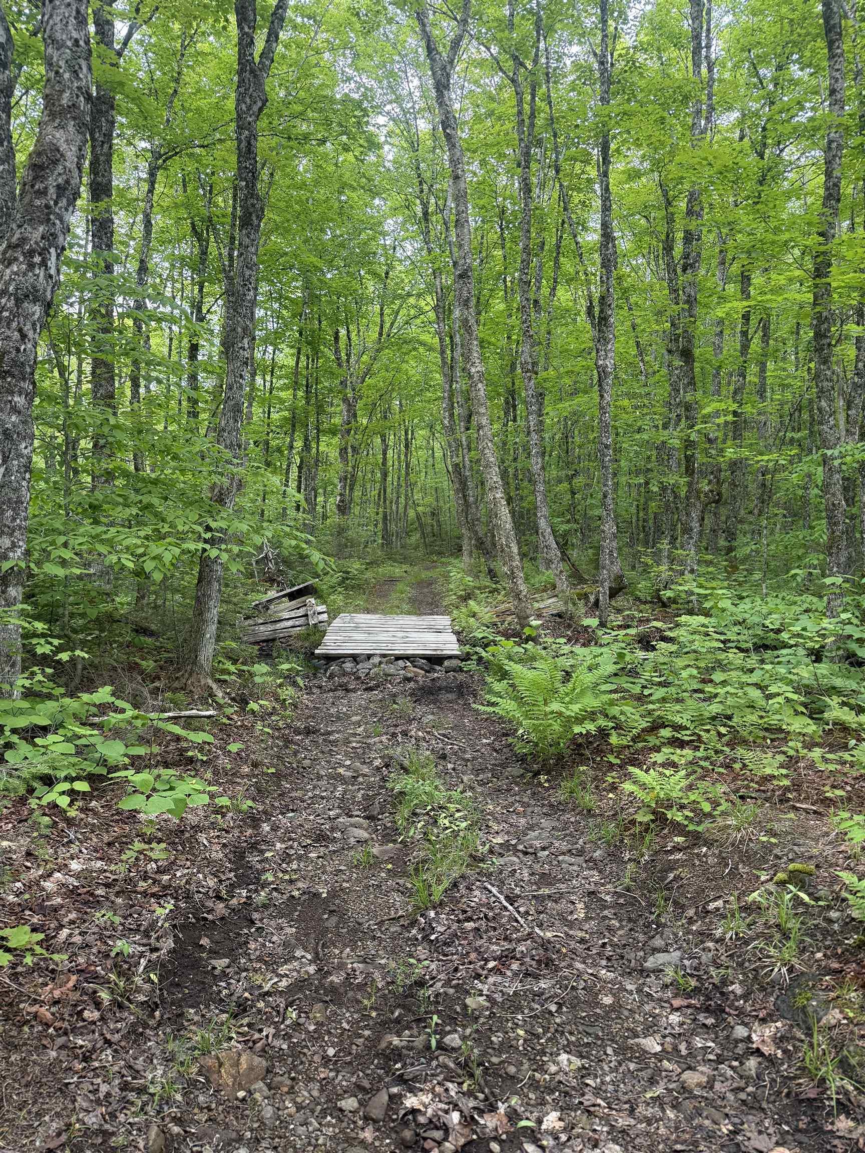 $139,000.00: Lot (PID 20098885) Truro Road, New Annan