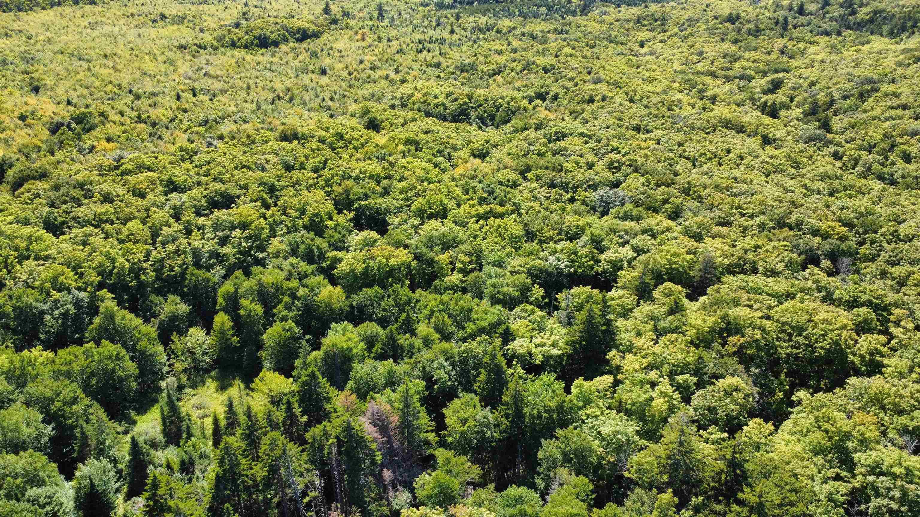 $139,000.00: Lot (PID 20098885) Truro Road, New Annan