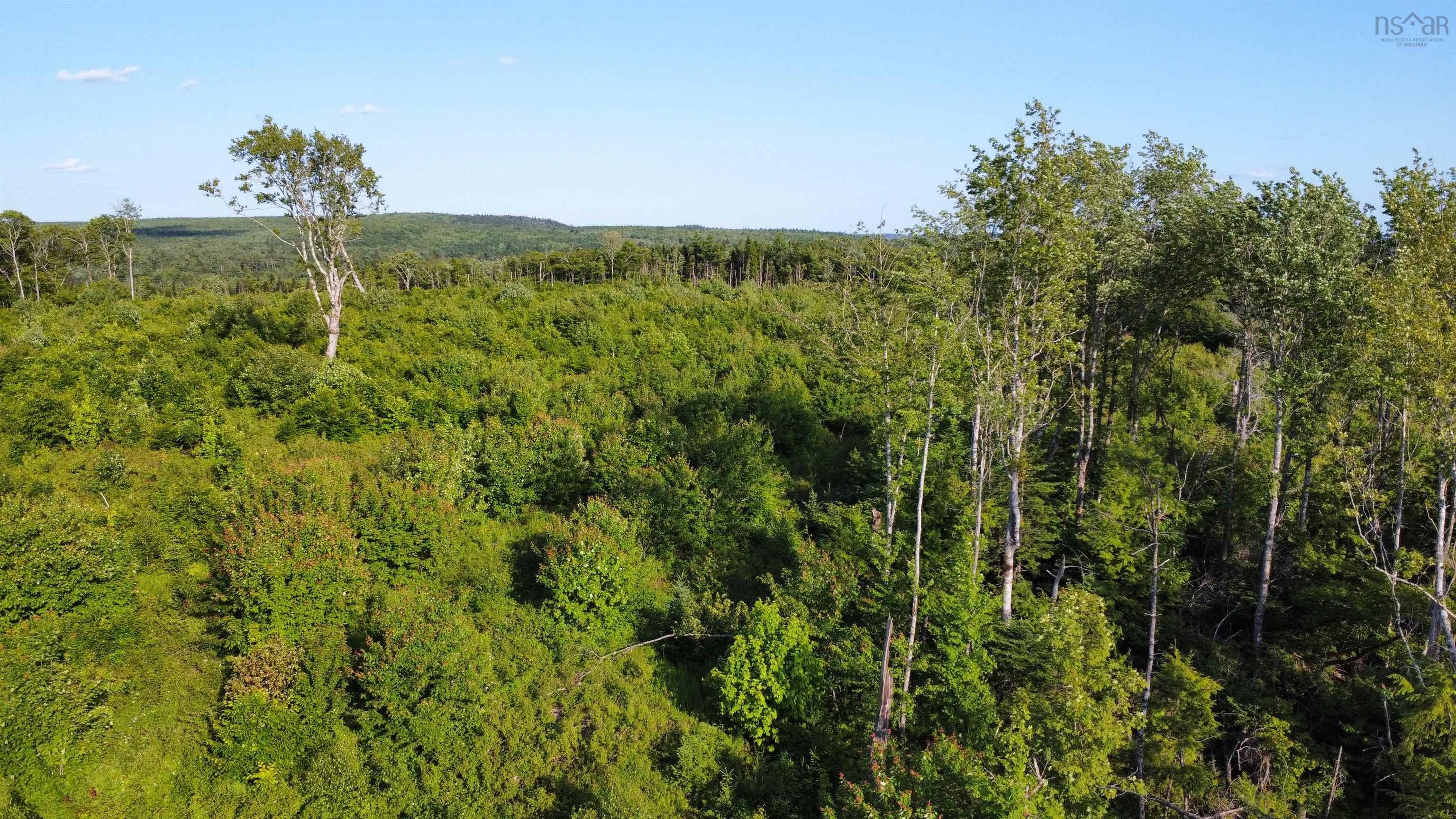 $35,000.00: Lot 3 Albany New Road, Albany New