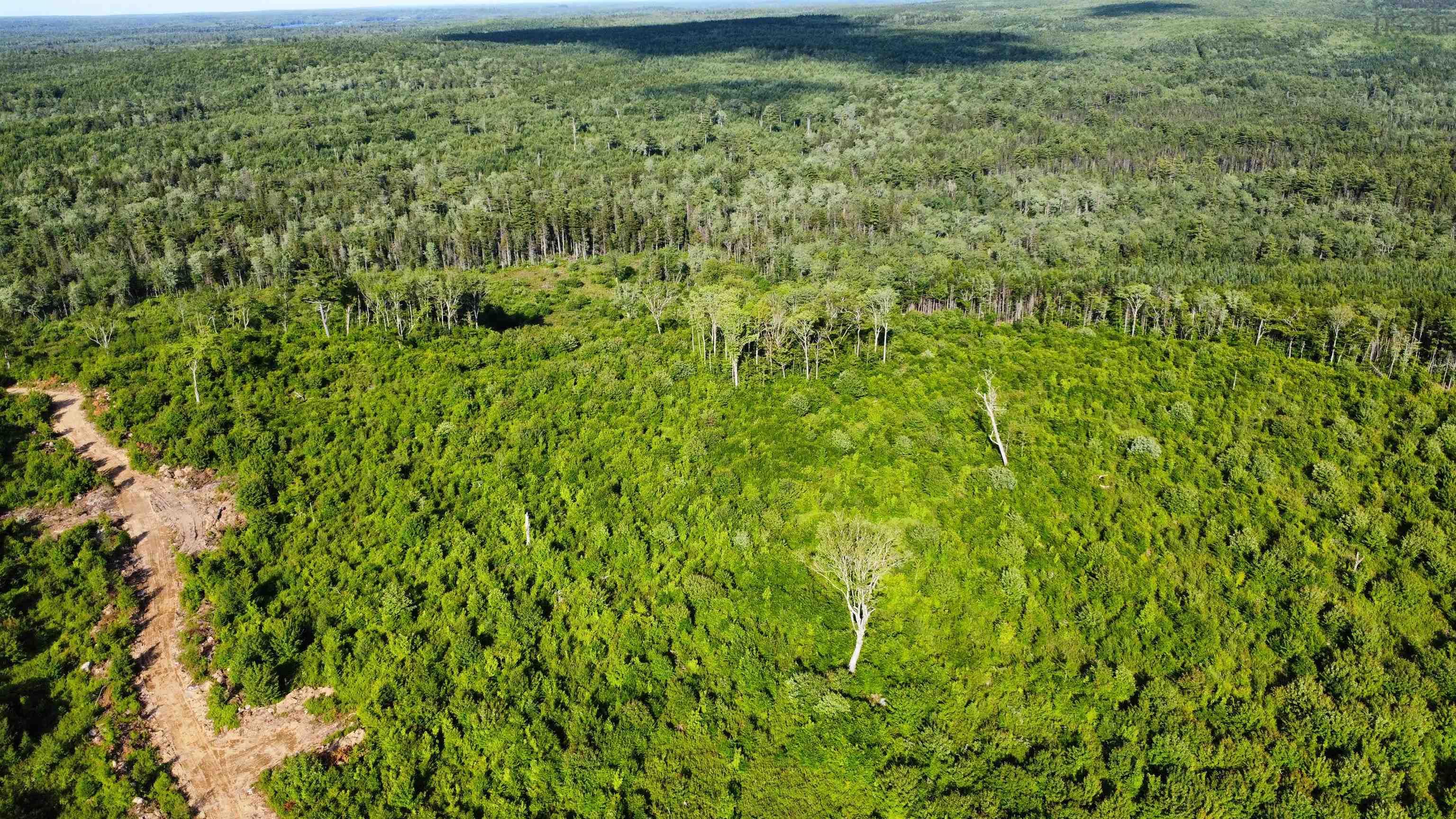 $35,000.00: Lot 3 Albany New Road, Albany New