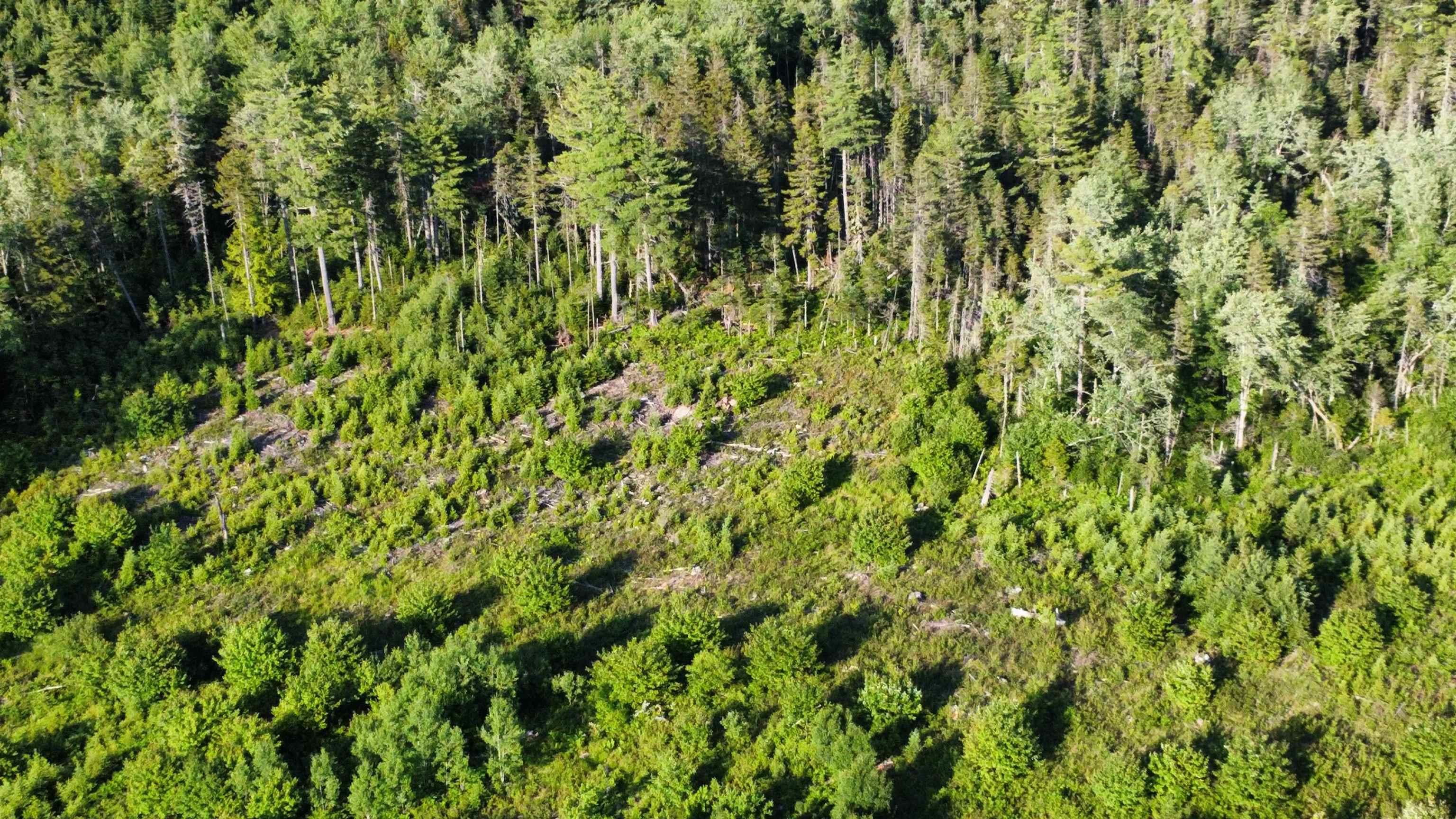 $35,000.00: Lot 2 Albany New Road, Albany New