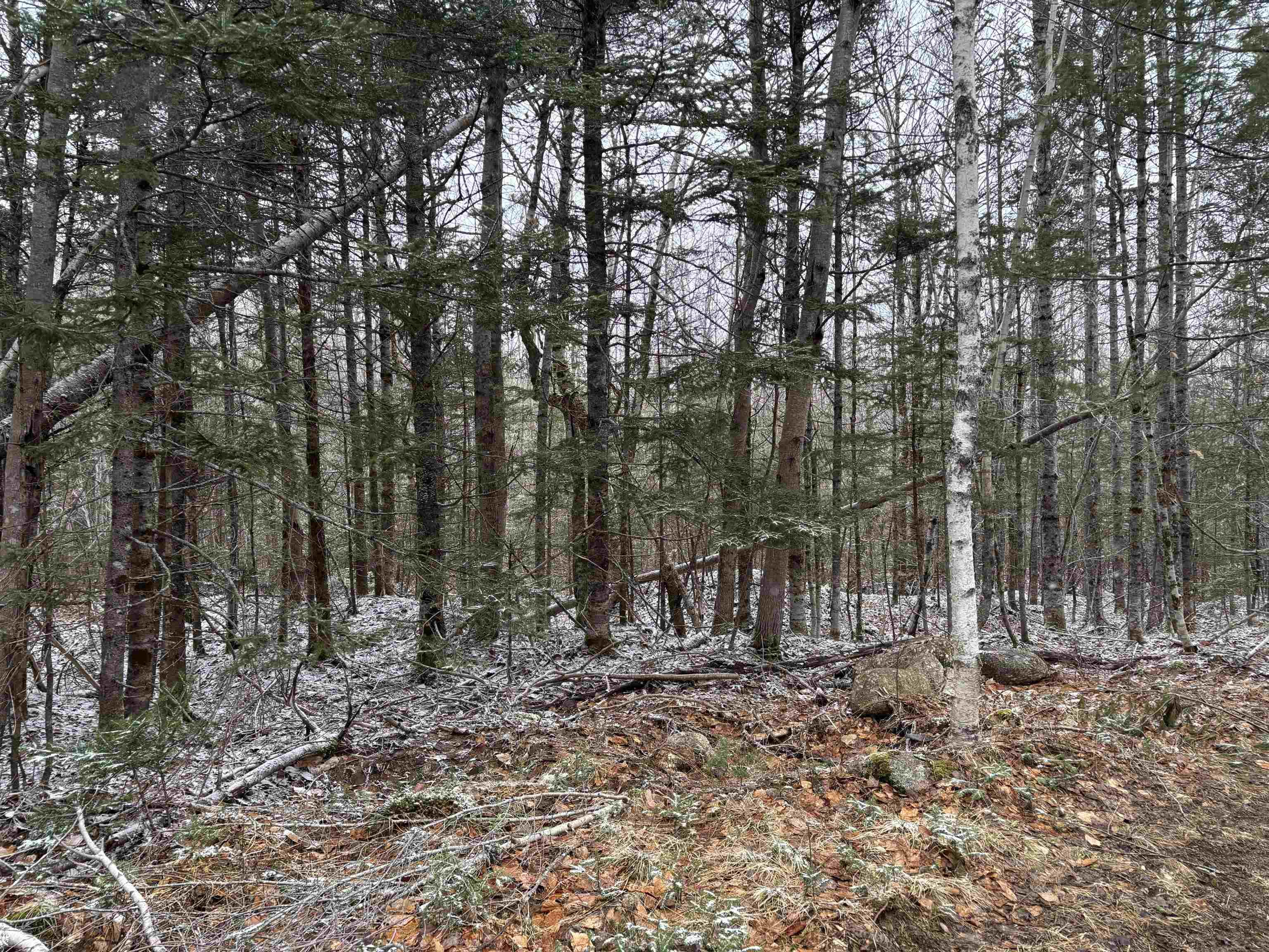 $55,900.00: Lot (PID 05046693) Victory Road, Victory